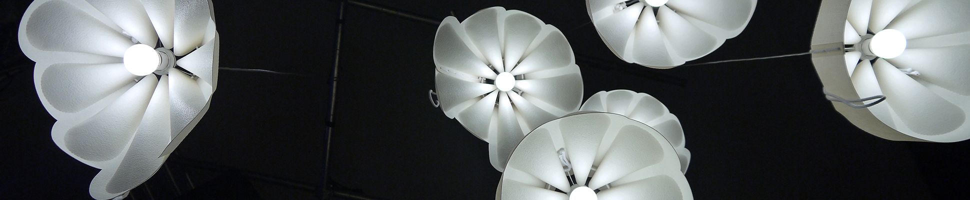 Discover the world of manufacturer Bottonova