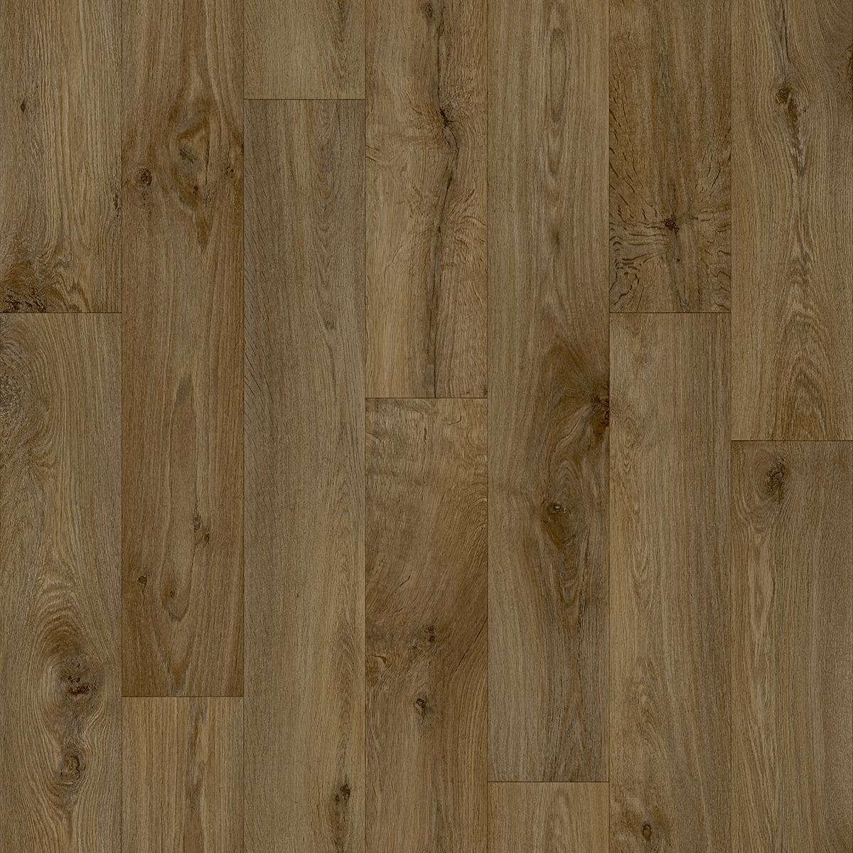 Vero 696D