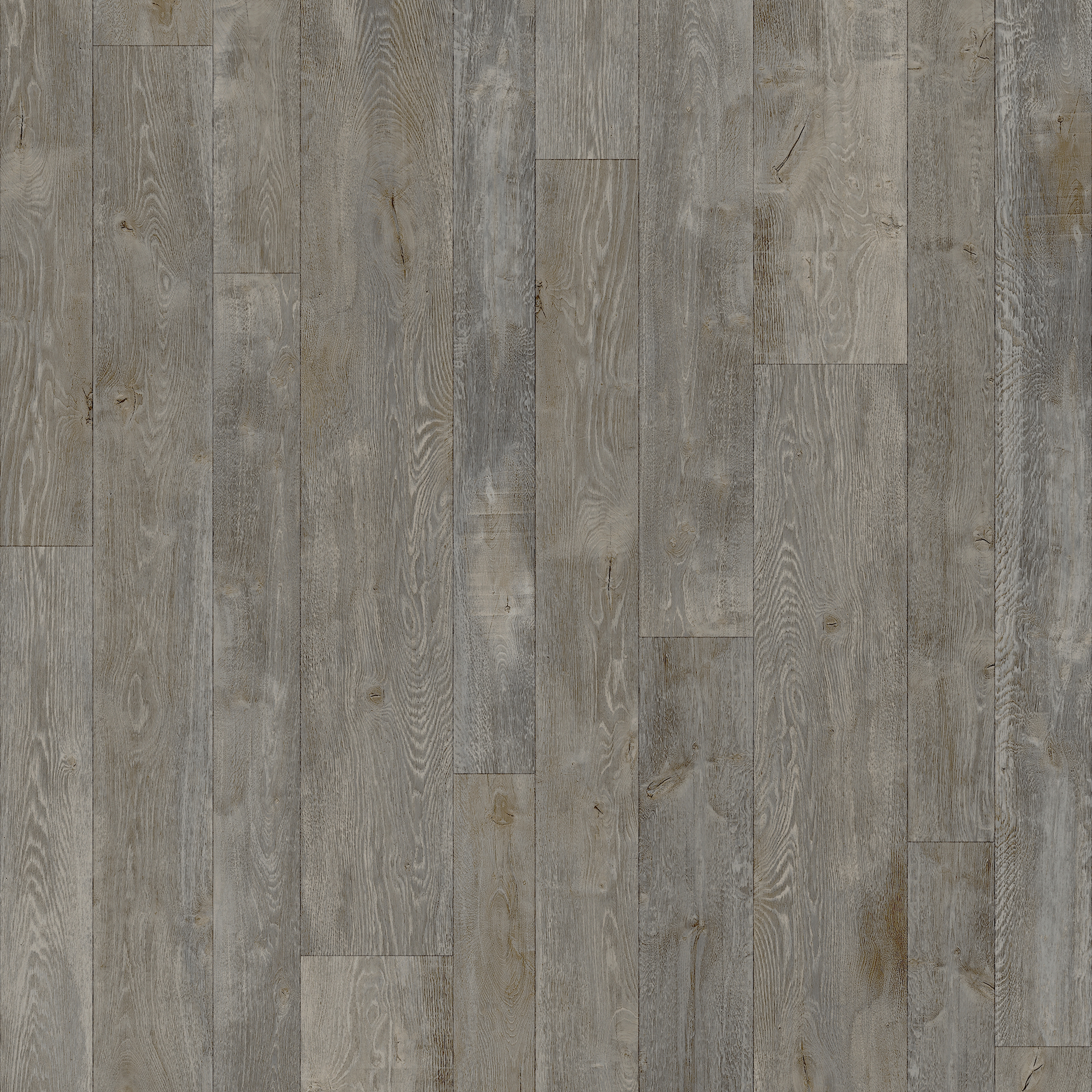 Pacific Oak 699D