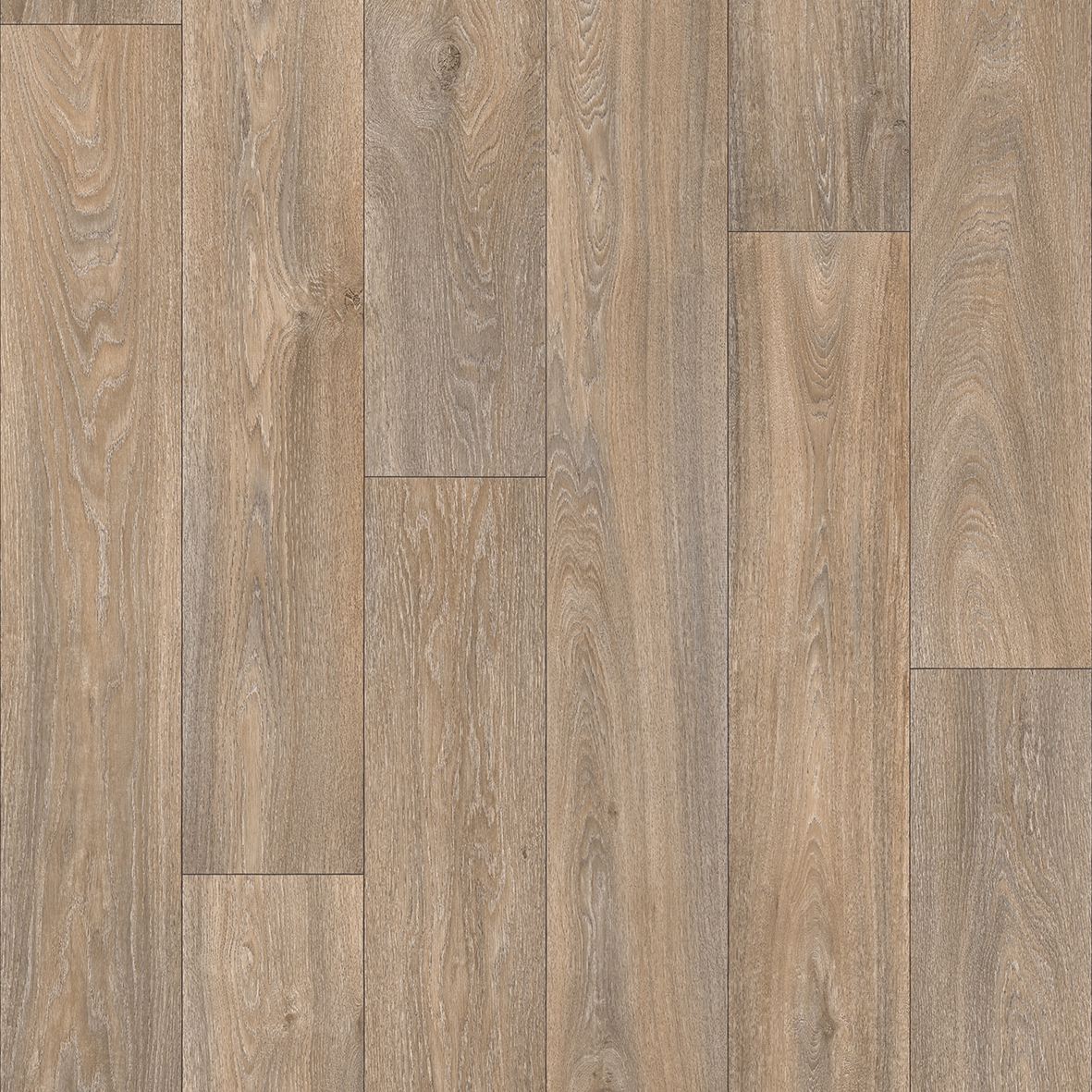 Havanna Oak 613M
