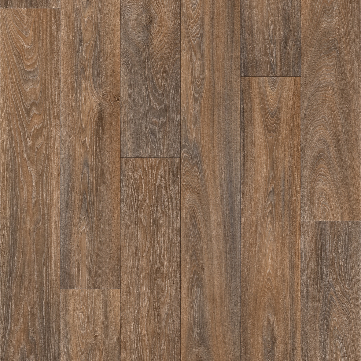 Havanna Oak 669D
