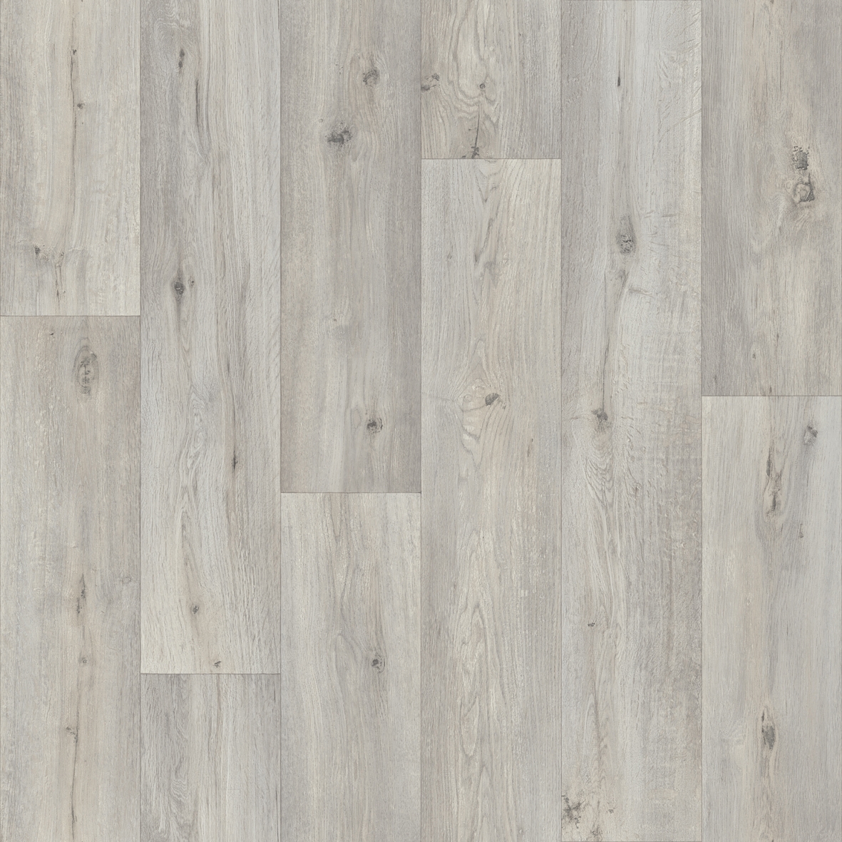 Silk Oak 916L