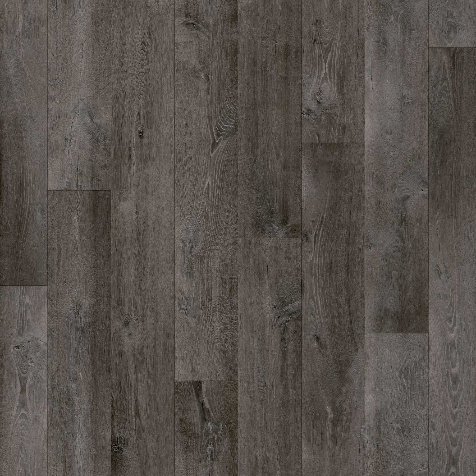 Crouch Oak 699D