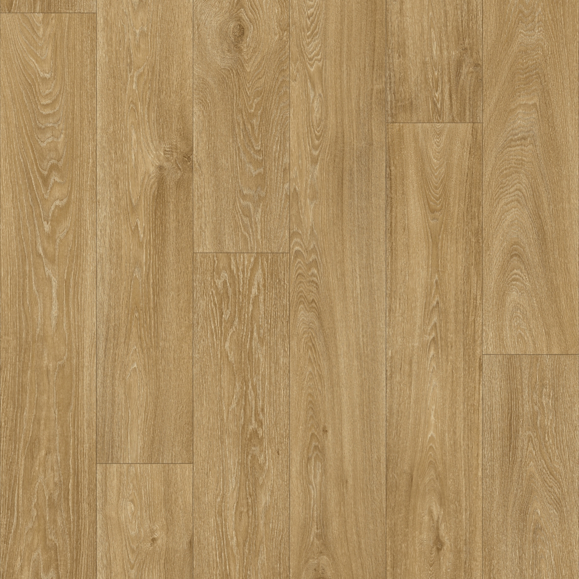 Havanna Oak 662M