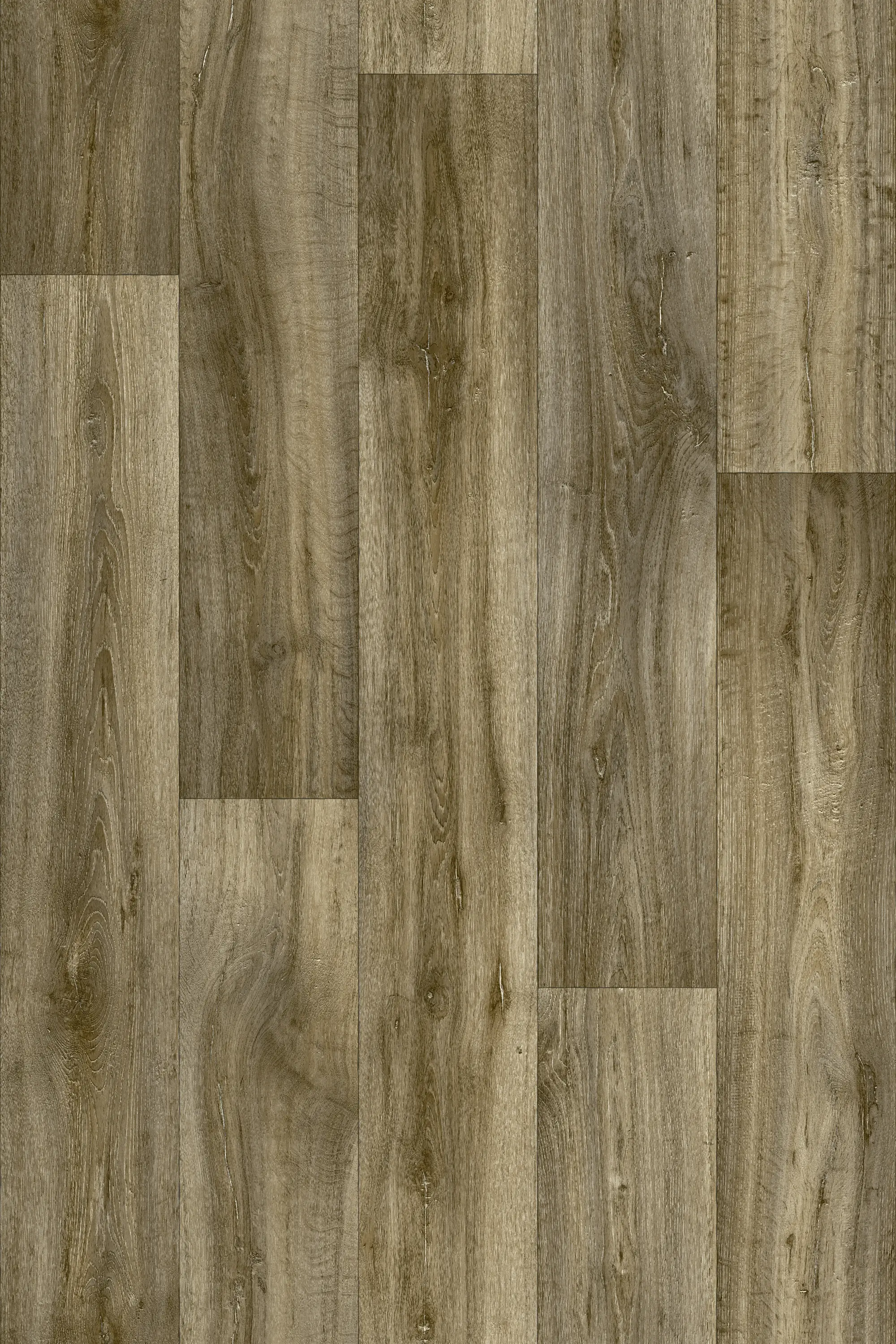 Beauflor - Lime Oak 976M