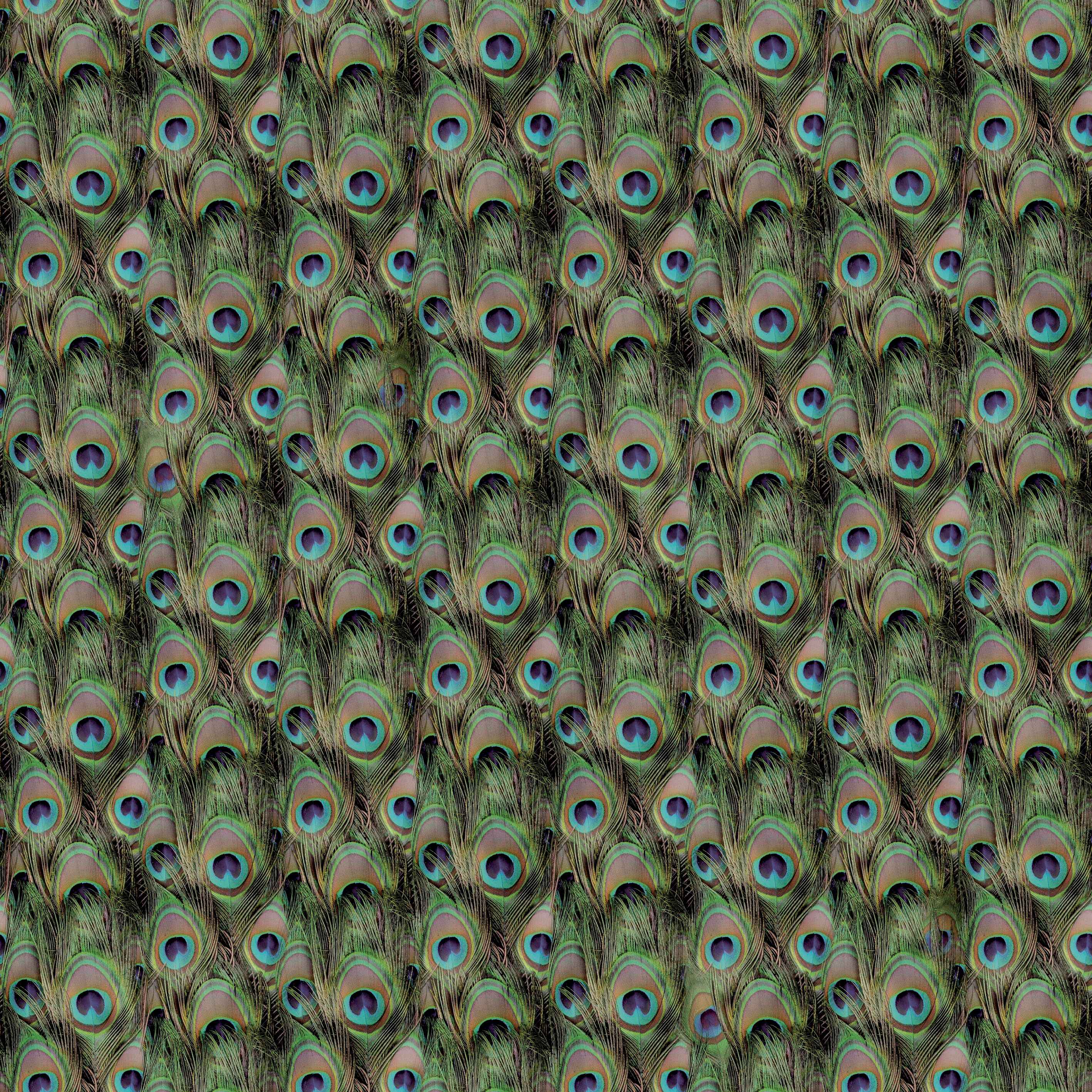 Display product Peacock from manufacturer Beauflor