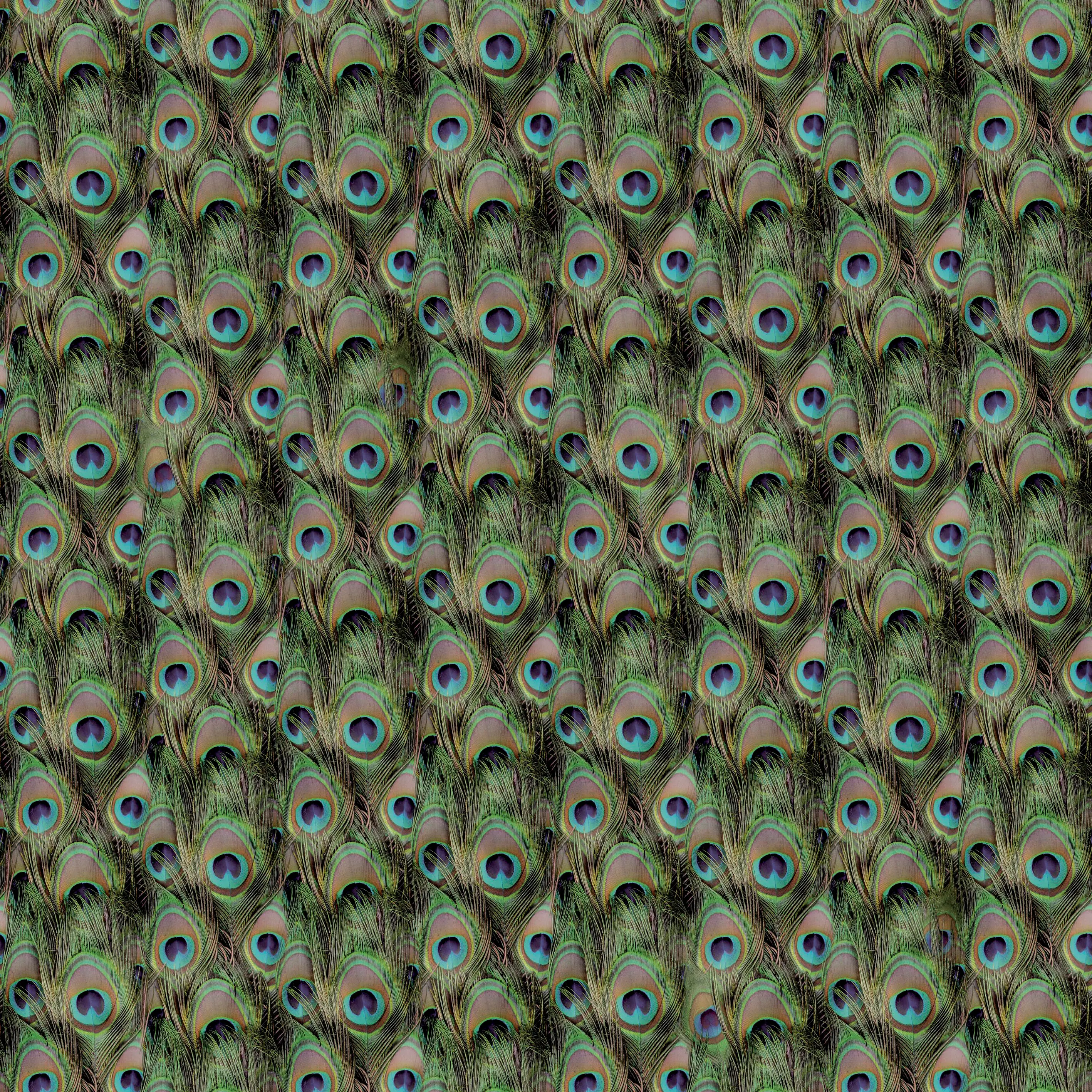 Beauflor - Peacock