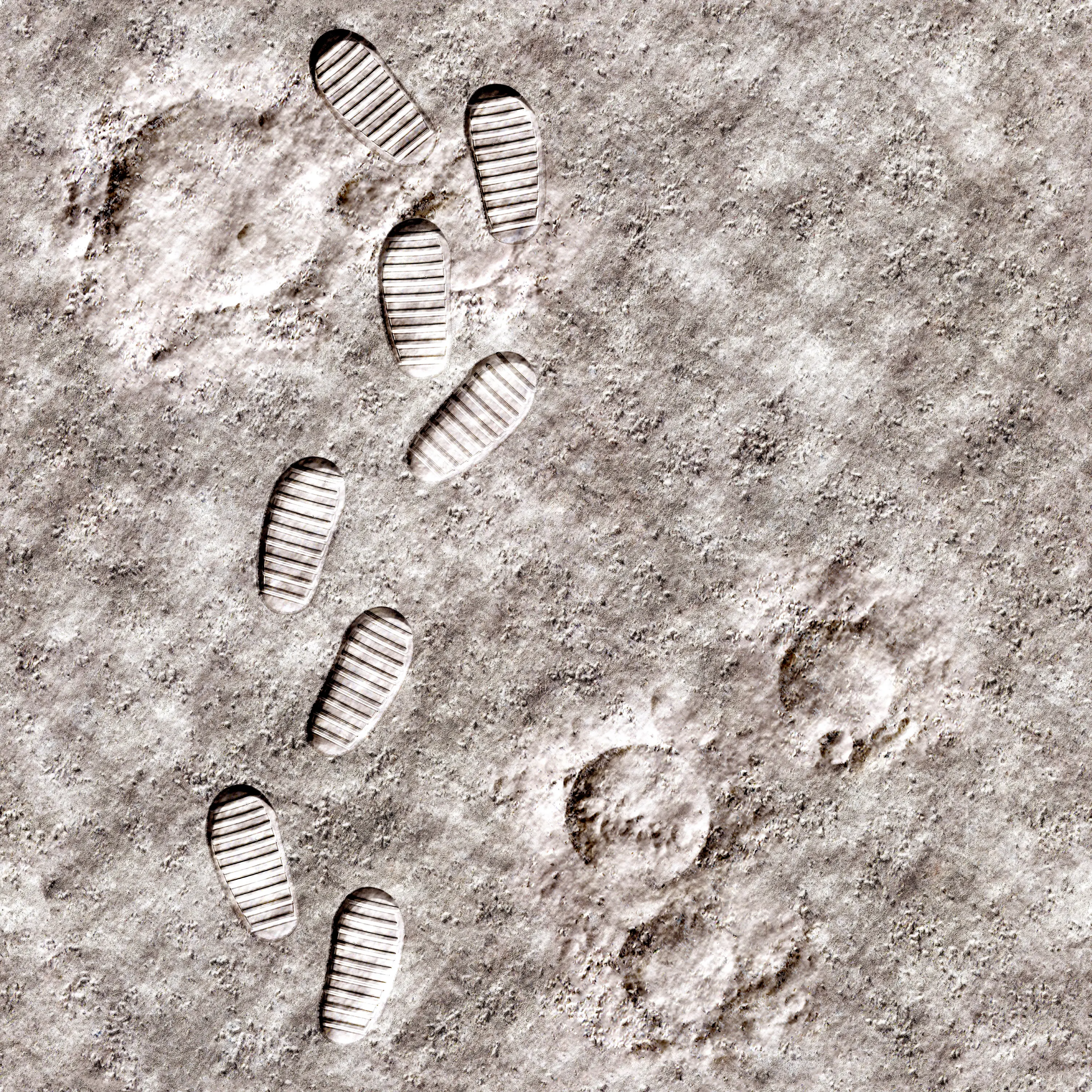 Beauflor - Moon steps