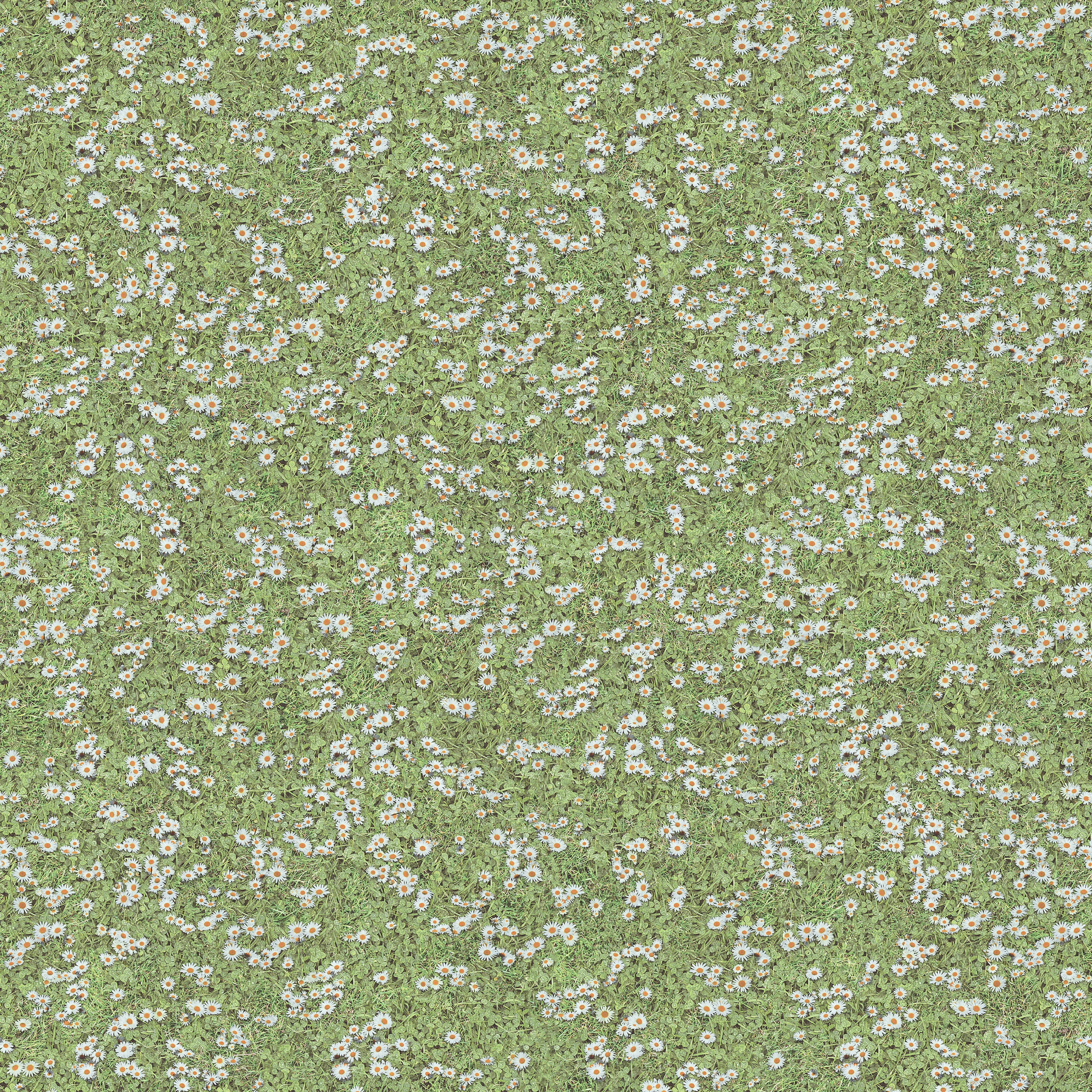 Display product Daisies from manufacturer Beauflor