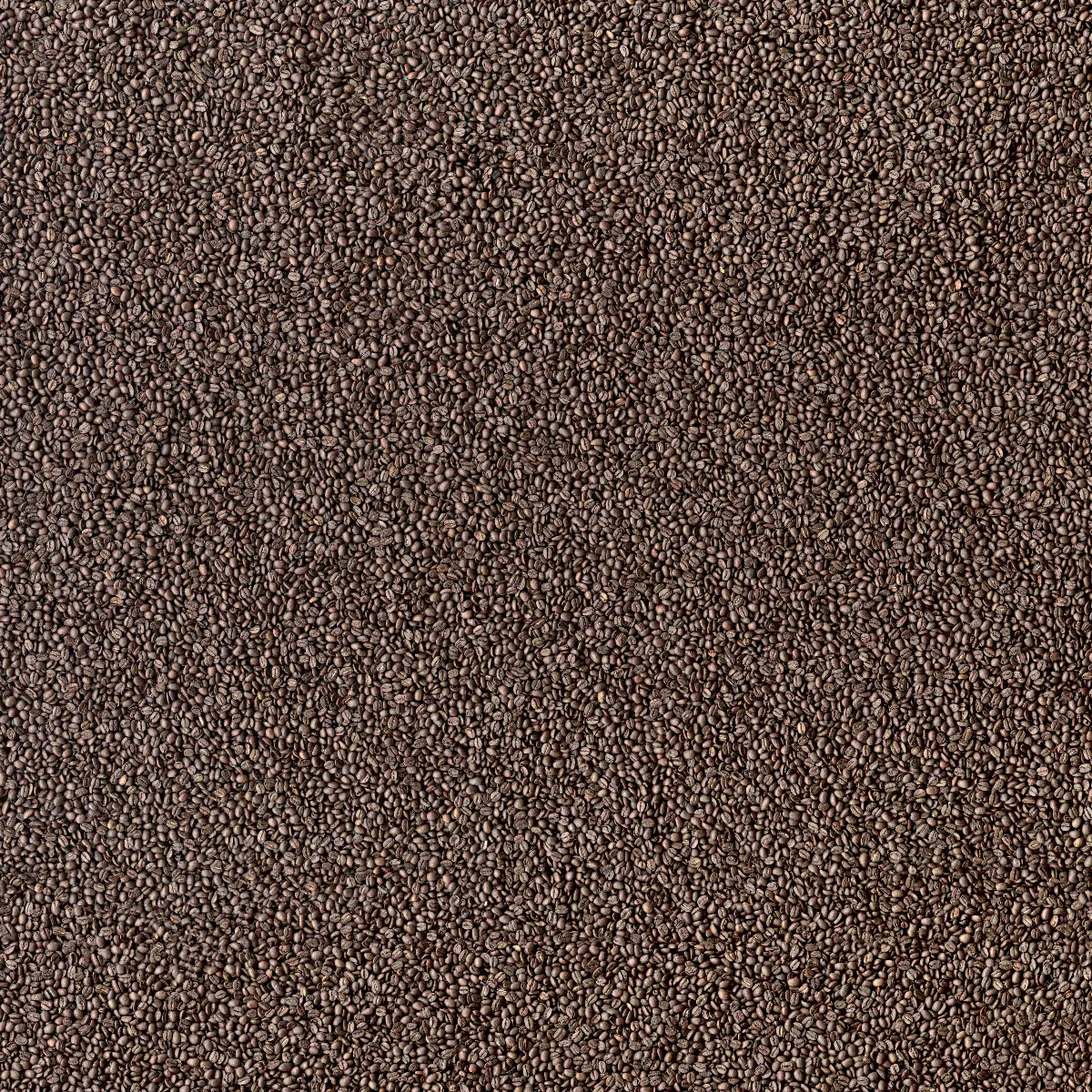 Beauflor - CoffeeBeans
