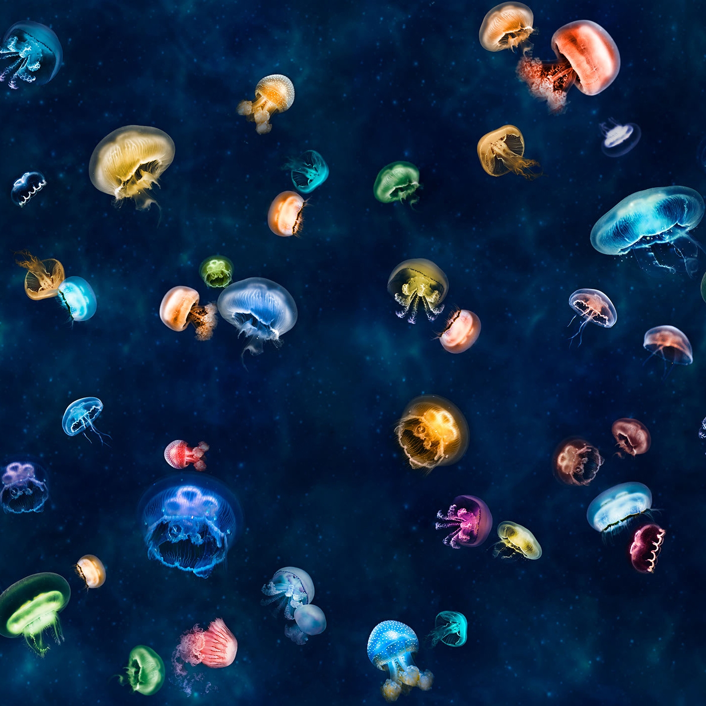 Display product Deep Sea magic from manufacturer Beauflor