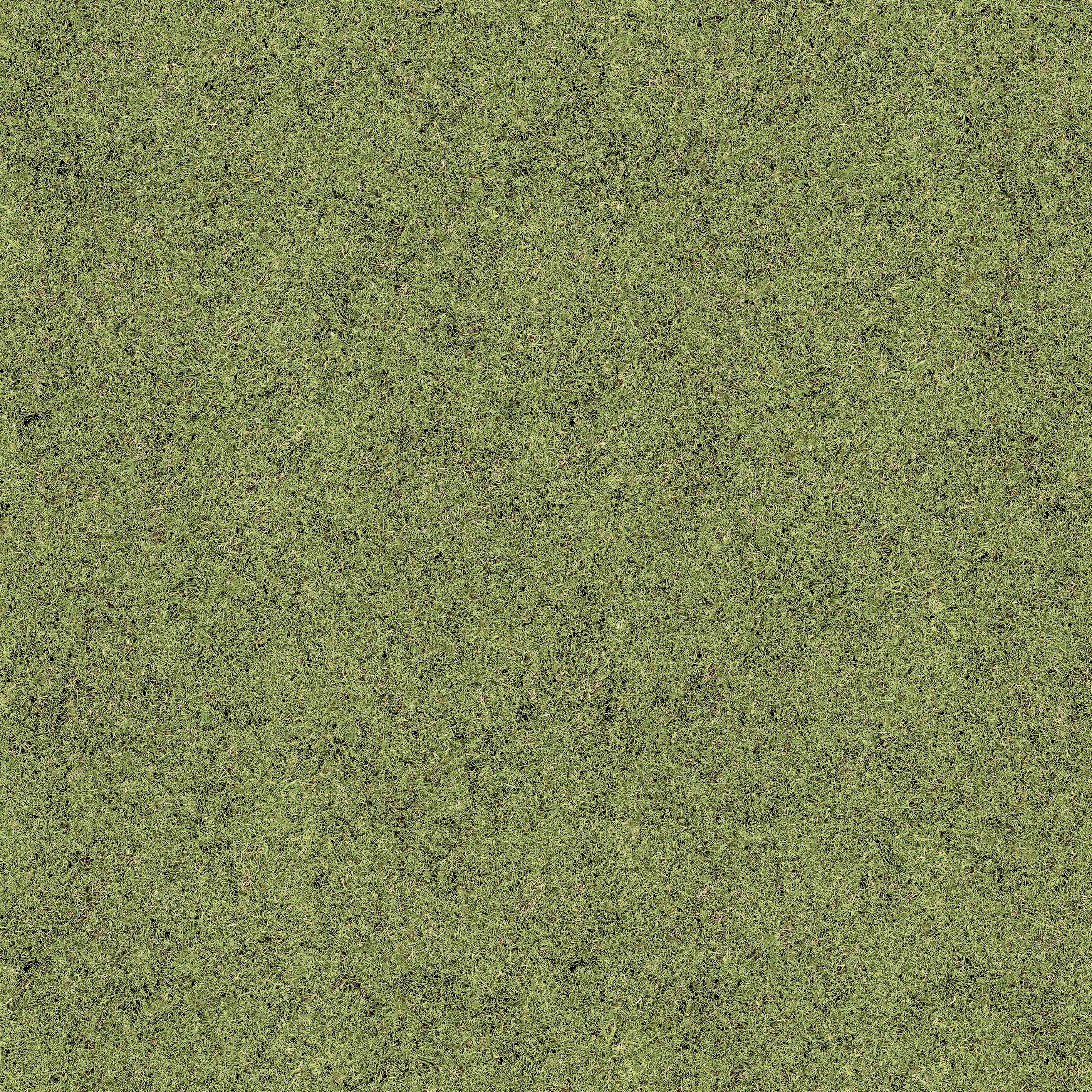 Produkt Grass des Herstellers Beauflor anzeigen