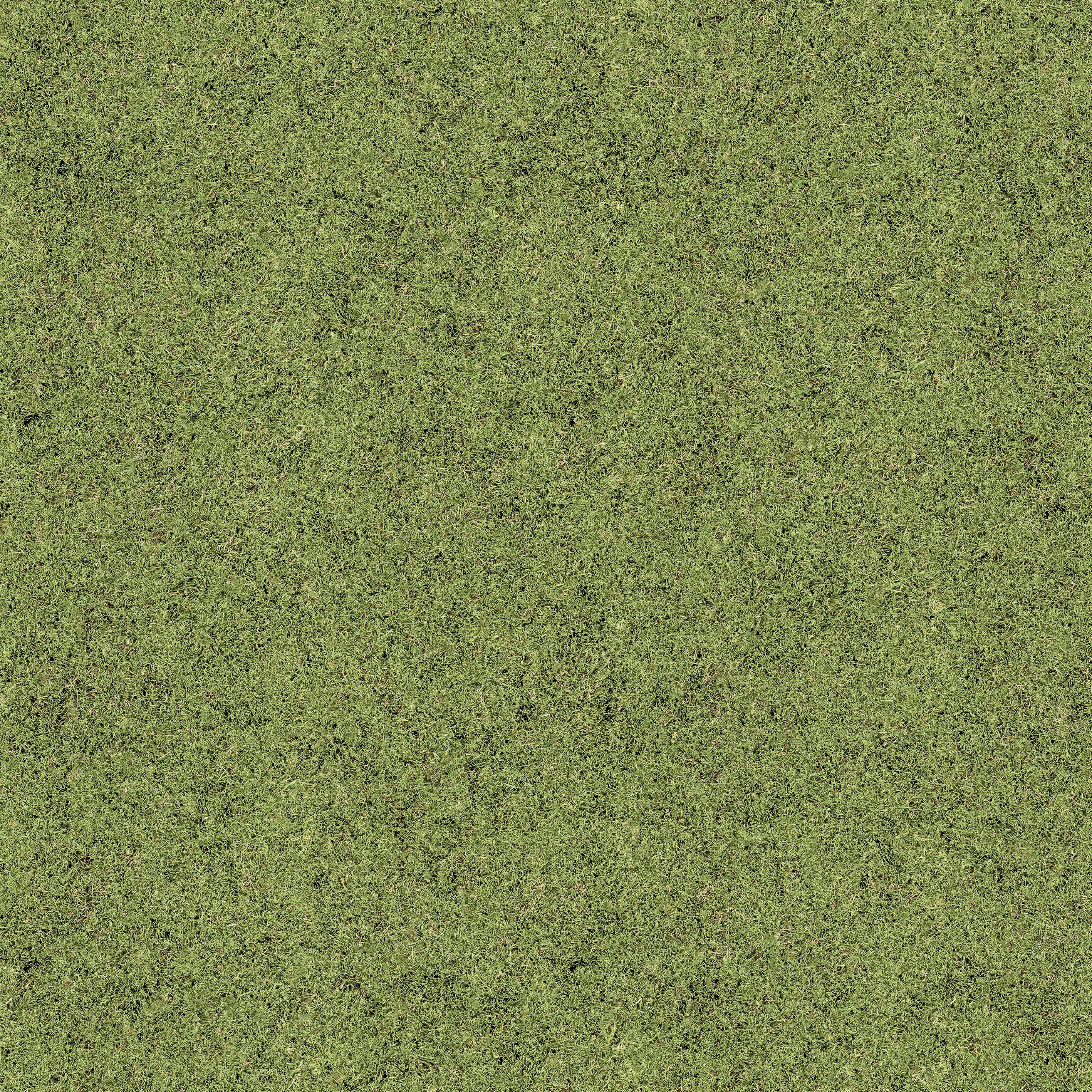 Beauflor - Grass