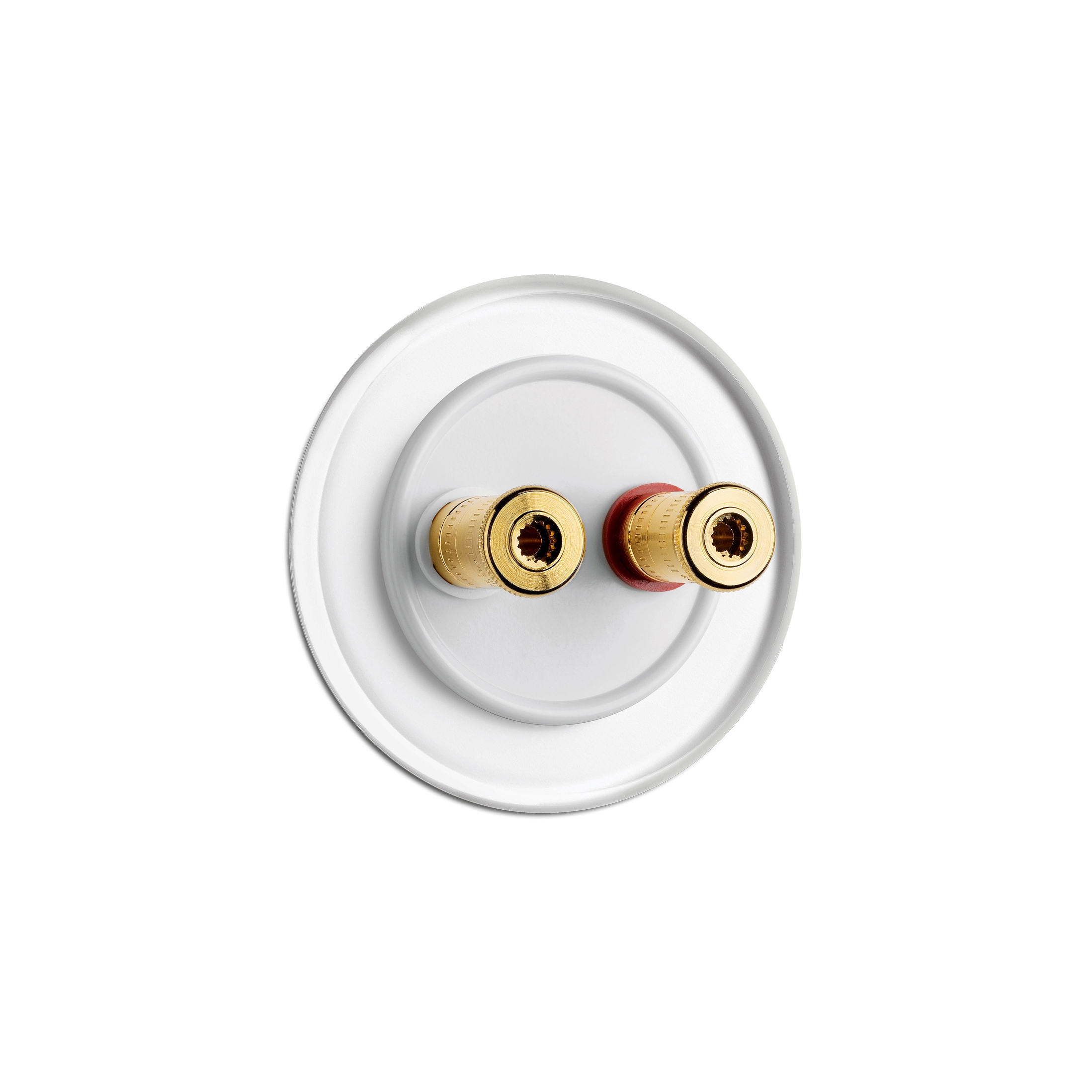 Mostra il prodotto Speaker wall socket white glass duroplast del produttore THPG