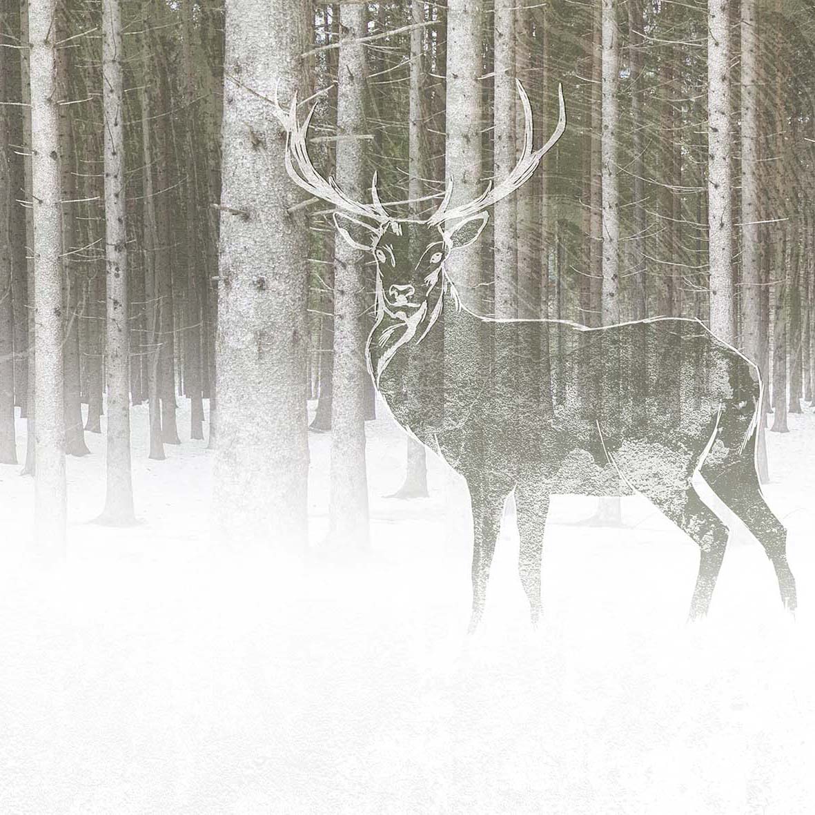 Produkt Art Monograph | Muzzi Il Cervo nel Bosco des Herstellers Officinarkitettura anzeigen