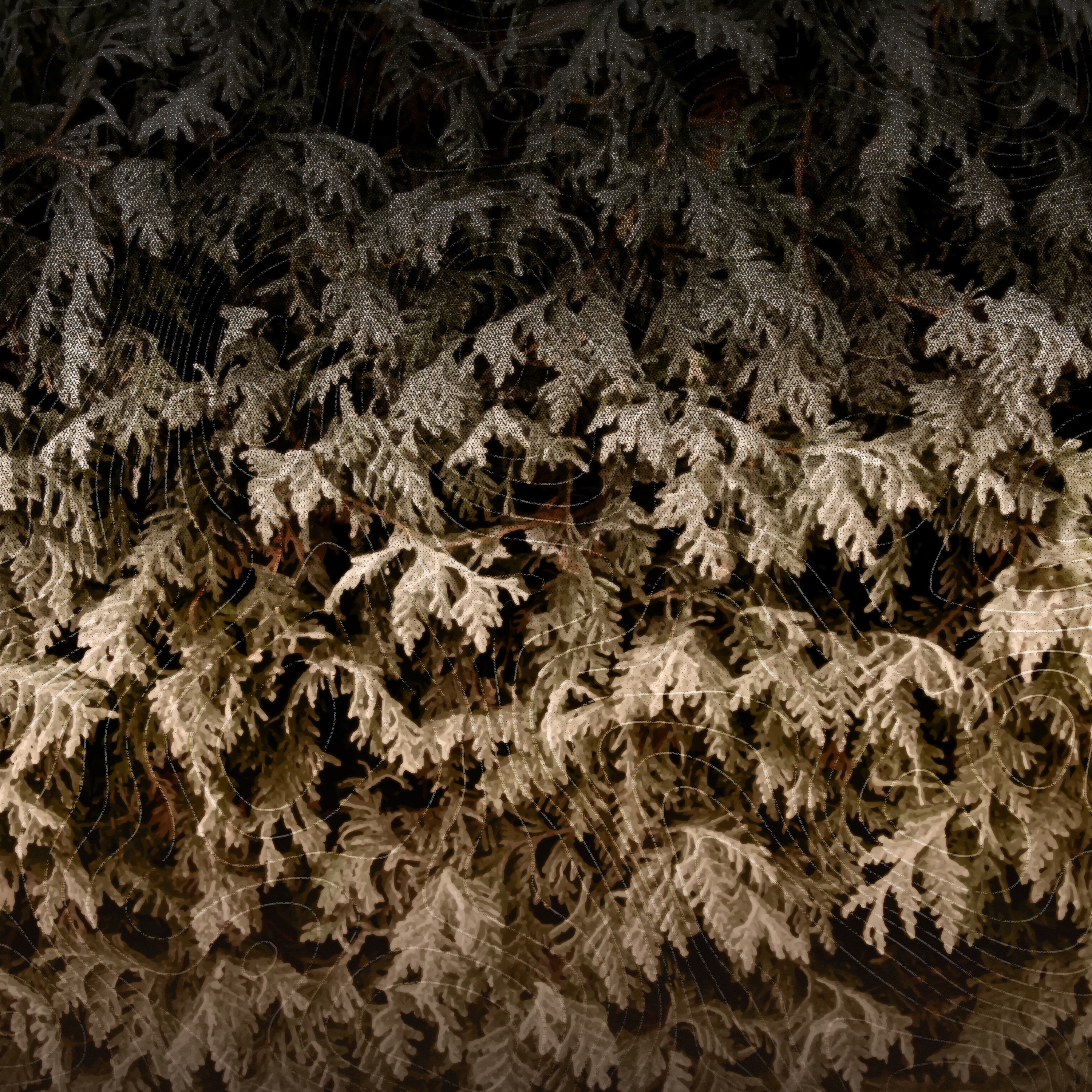 Produkt Art Monograph | Muzzi Pines des Herstellers Officinarkitettura anzeigen