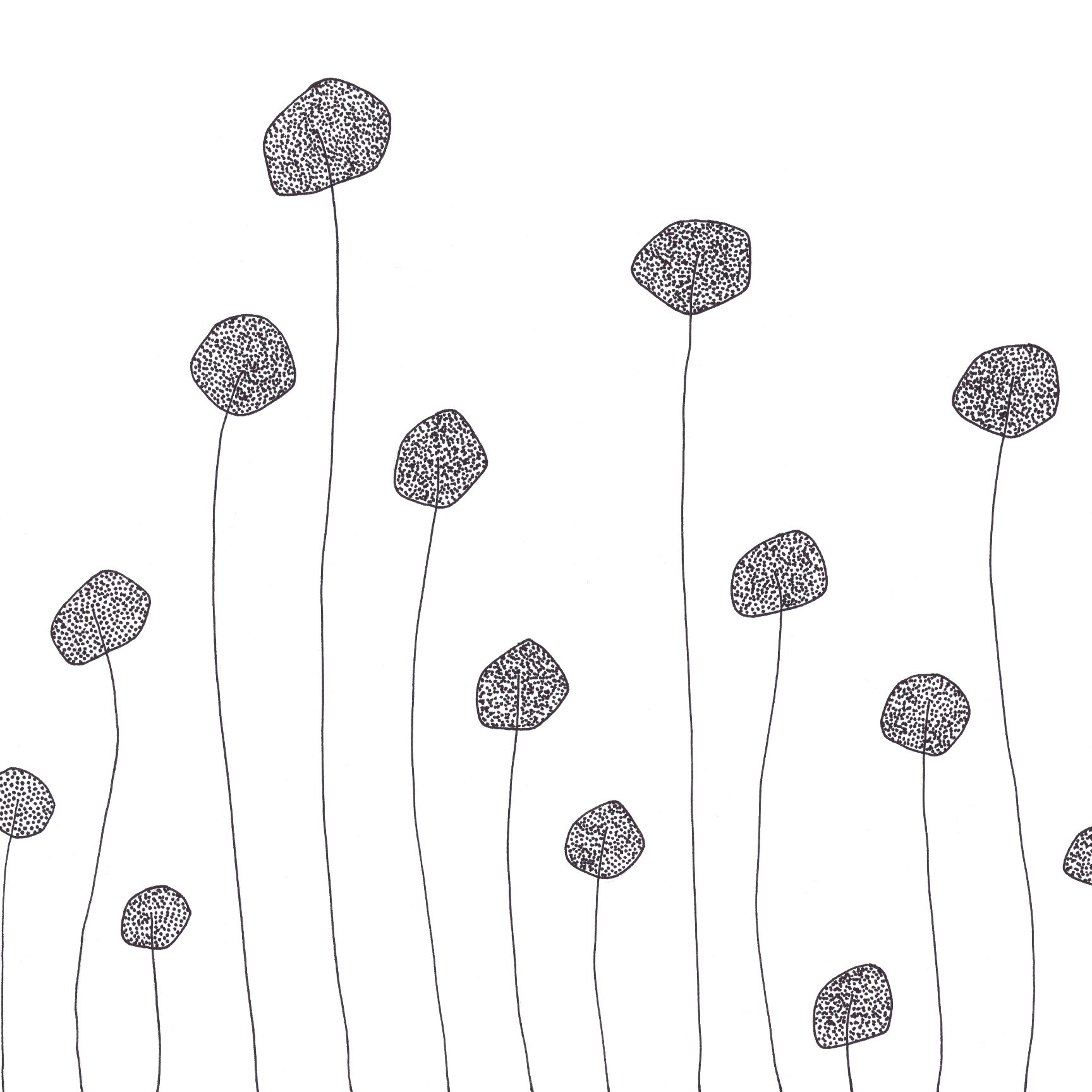 Produkt Art Monograph | Sign Fleurs des Herstellers Officinarkitettura anzeigen