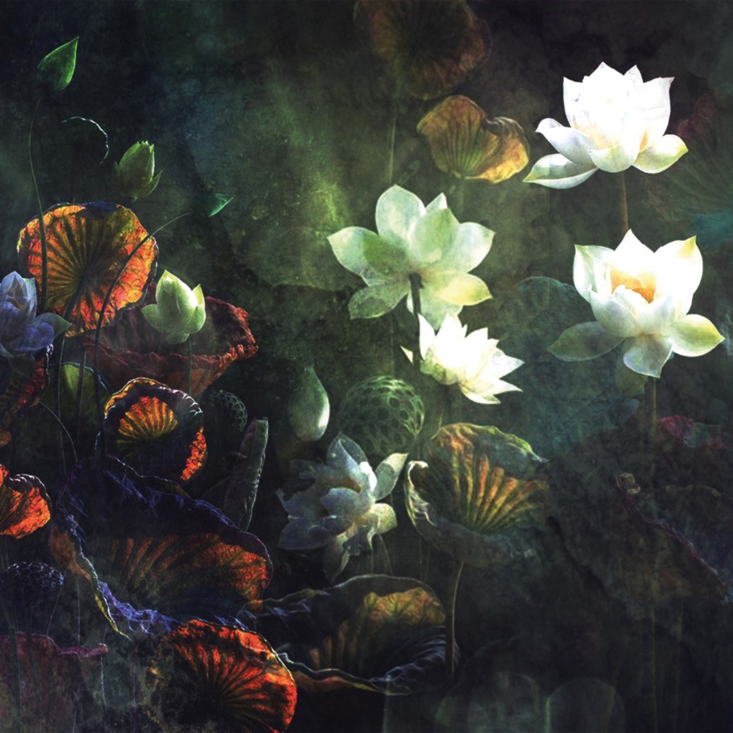 Afficher le produit Botanika | Flowers du fabricant Officinarkitettura
