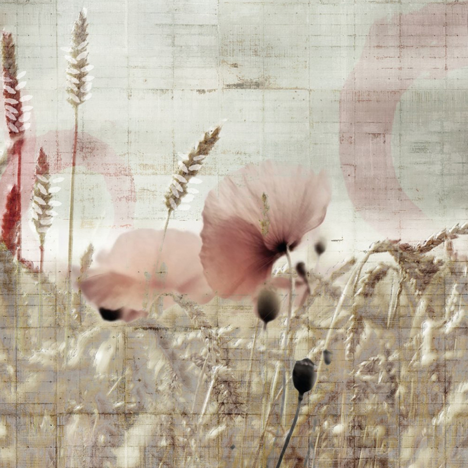 Afficher le produit Botanika | Grano du fabricant Officinarkitettura