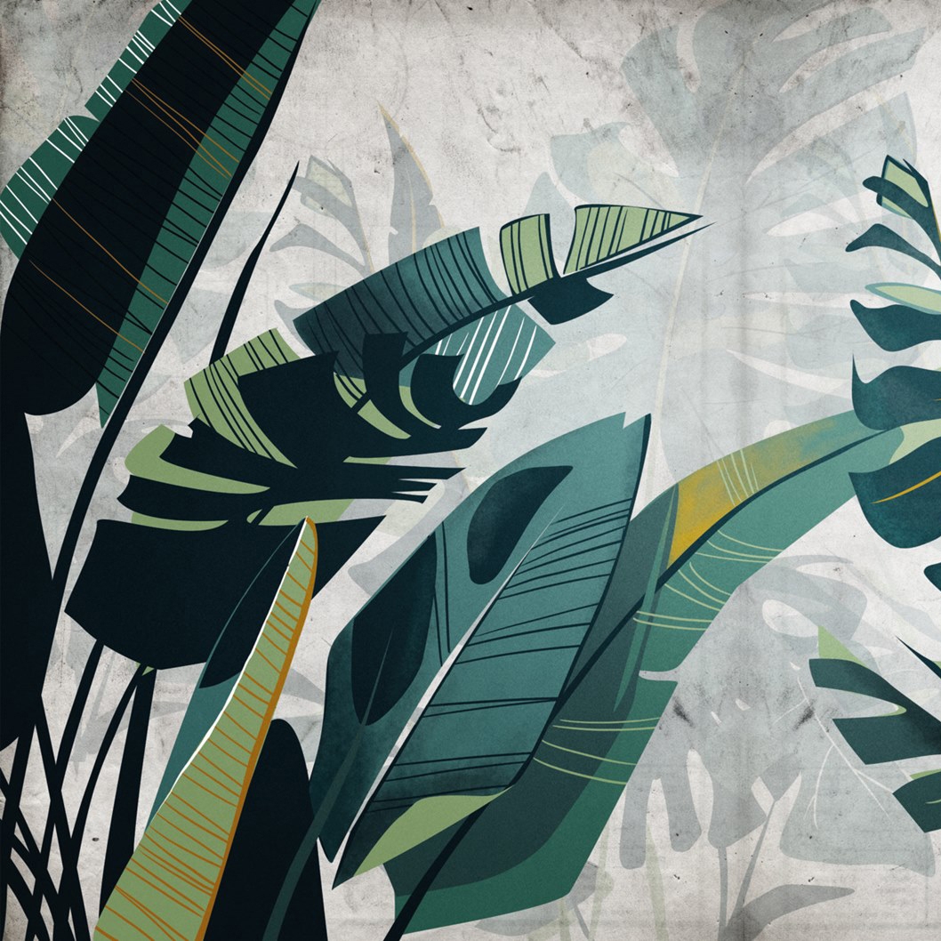 Botanika | Jungla