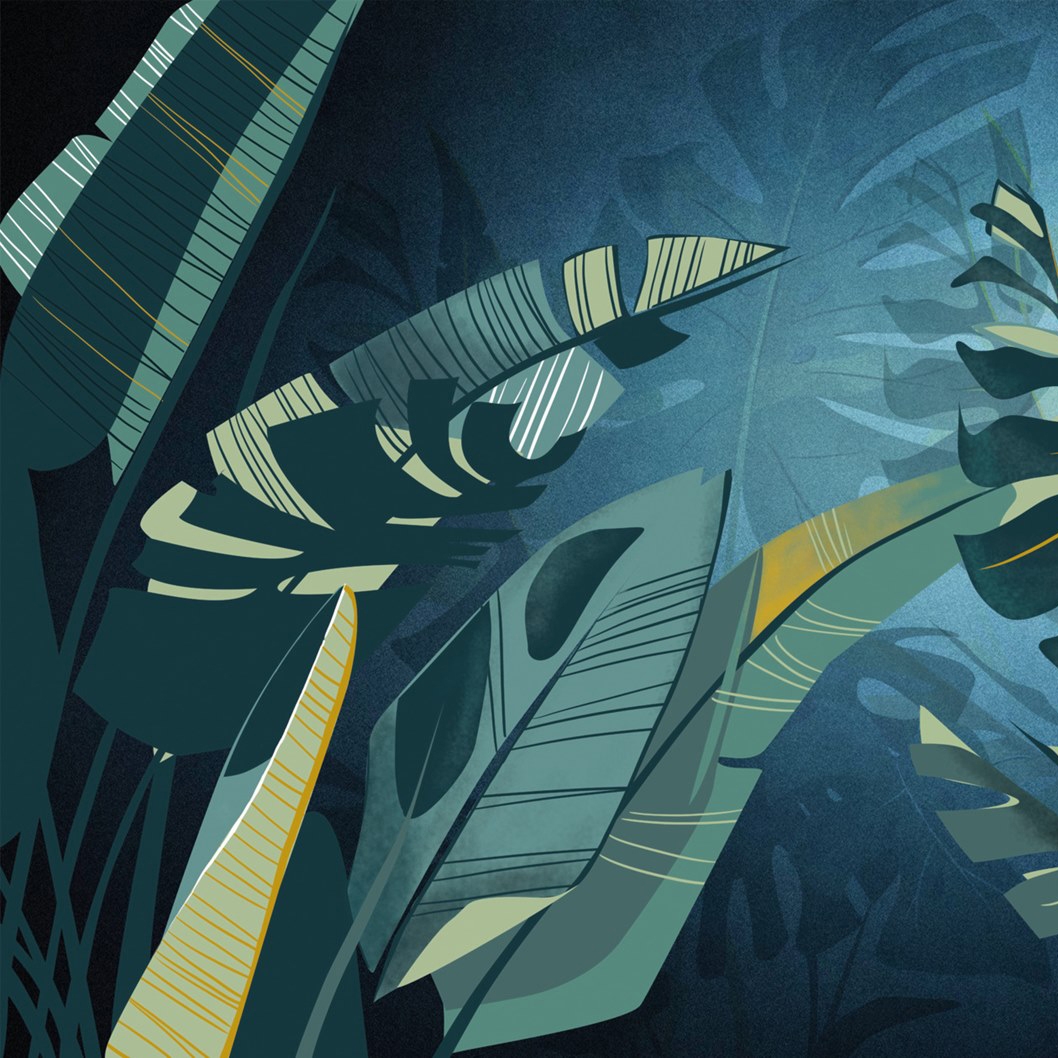 Botanika | Jungla Blu