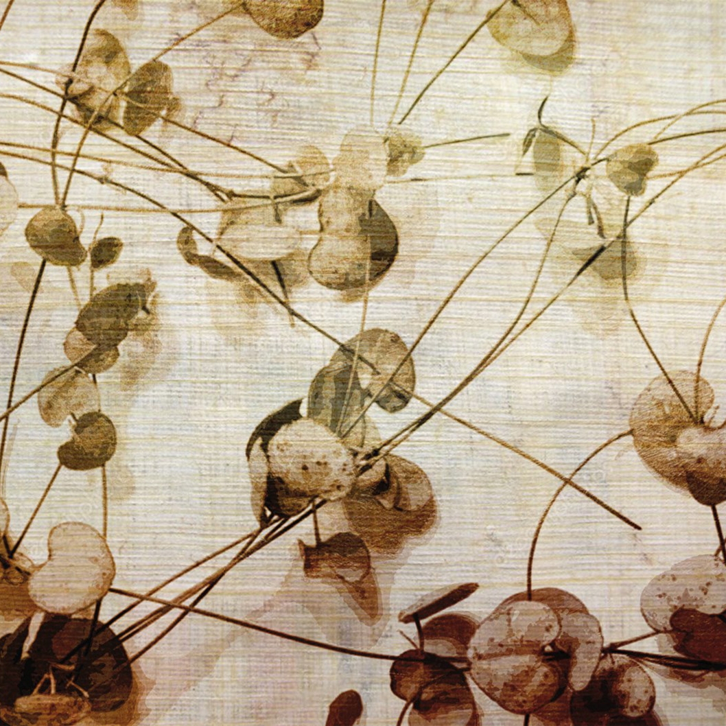 Afficher le produit Botanika | Leaves du fabricant Officinarkitettura