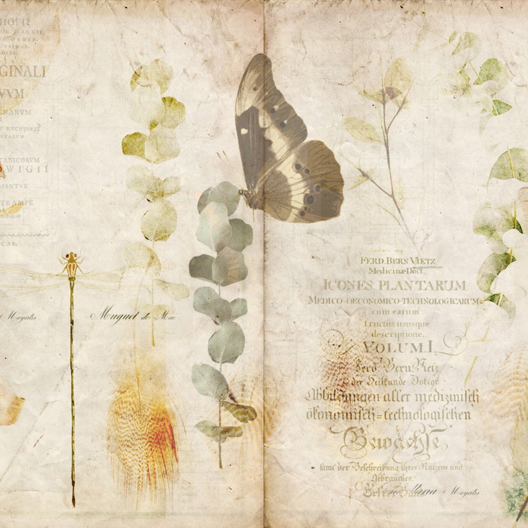 Afficher le produit Botanika | Nature Book du fabricant Officinarkitettura