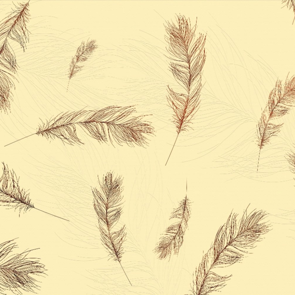 Afficher le produit Déco | Feathers du fabricant Officinarkitettura