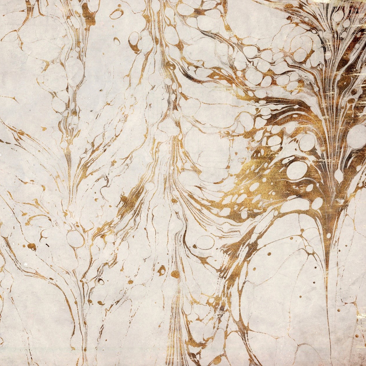 Afficher le produit Essence | Cosmo du fabricant Officinarkitettura