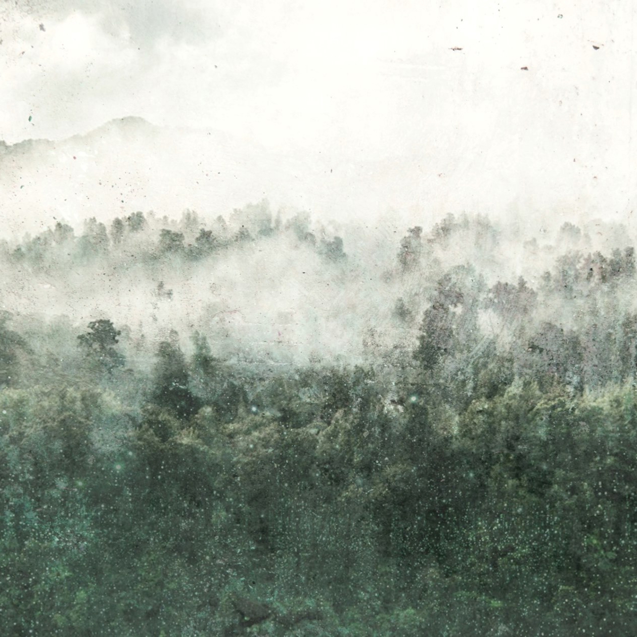 Afficher le produit Essence | Fading Mountains du fabricant Officinarkitettura