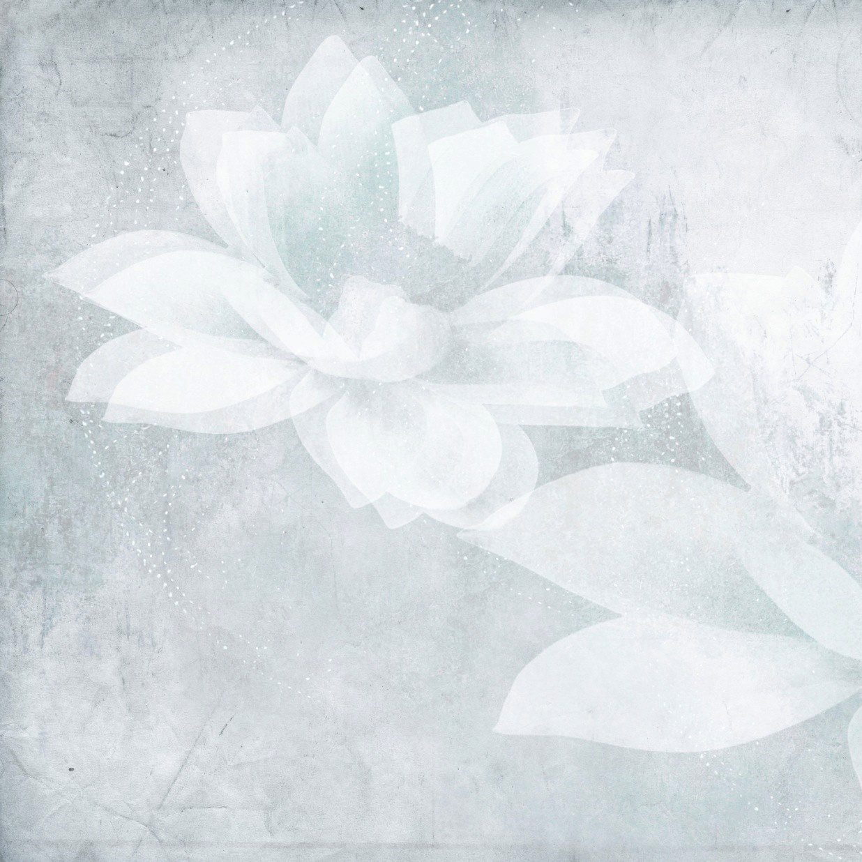 Afficher le produit Essence | New Soul du fabricant Officinarkitettura