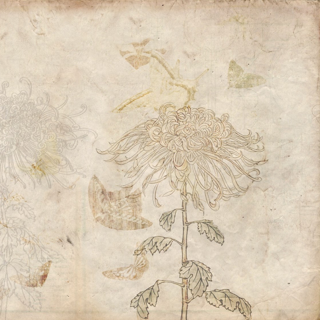 Produkt Japan | Japanese Garden des Herstellers Officinarkitettura anzeigen