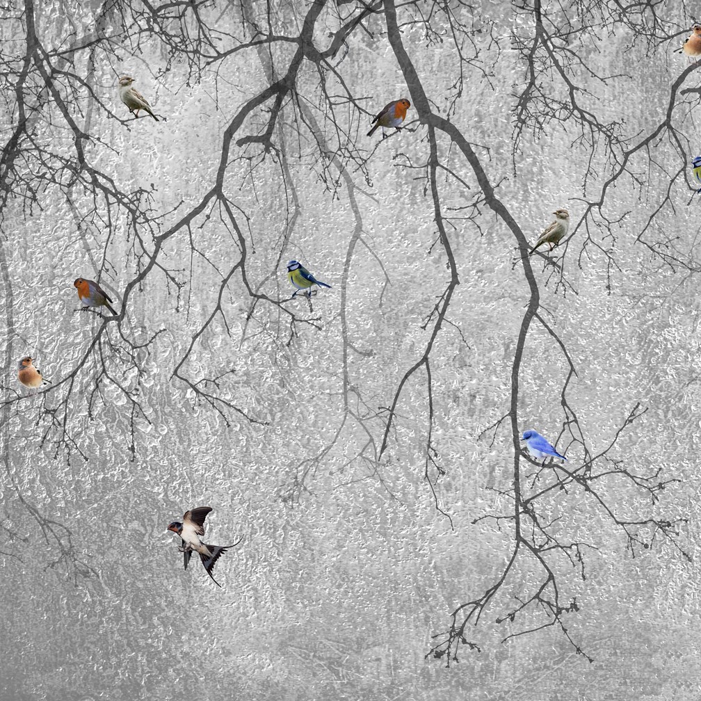 Mostra il prodotto Materia | Birds del produttore Officinarkitettura