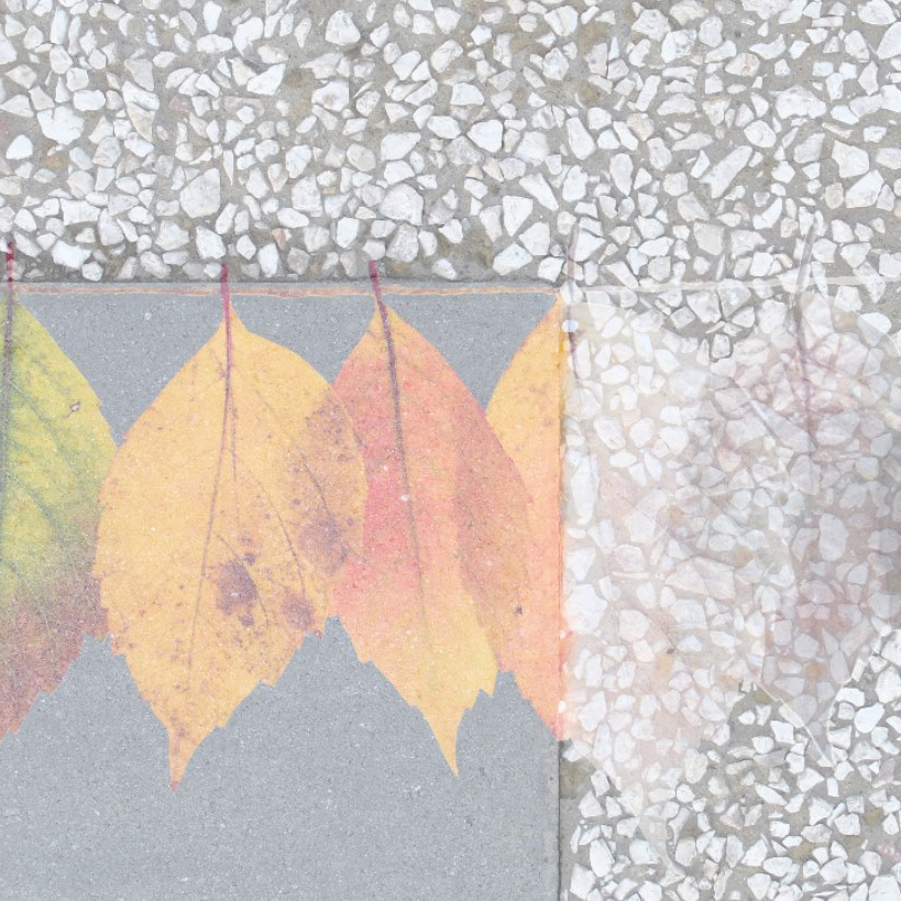 Produkt Materia | Leaves des Herstellers Officinarkitettura anzeigen