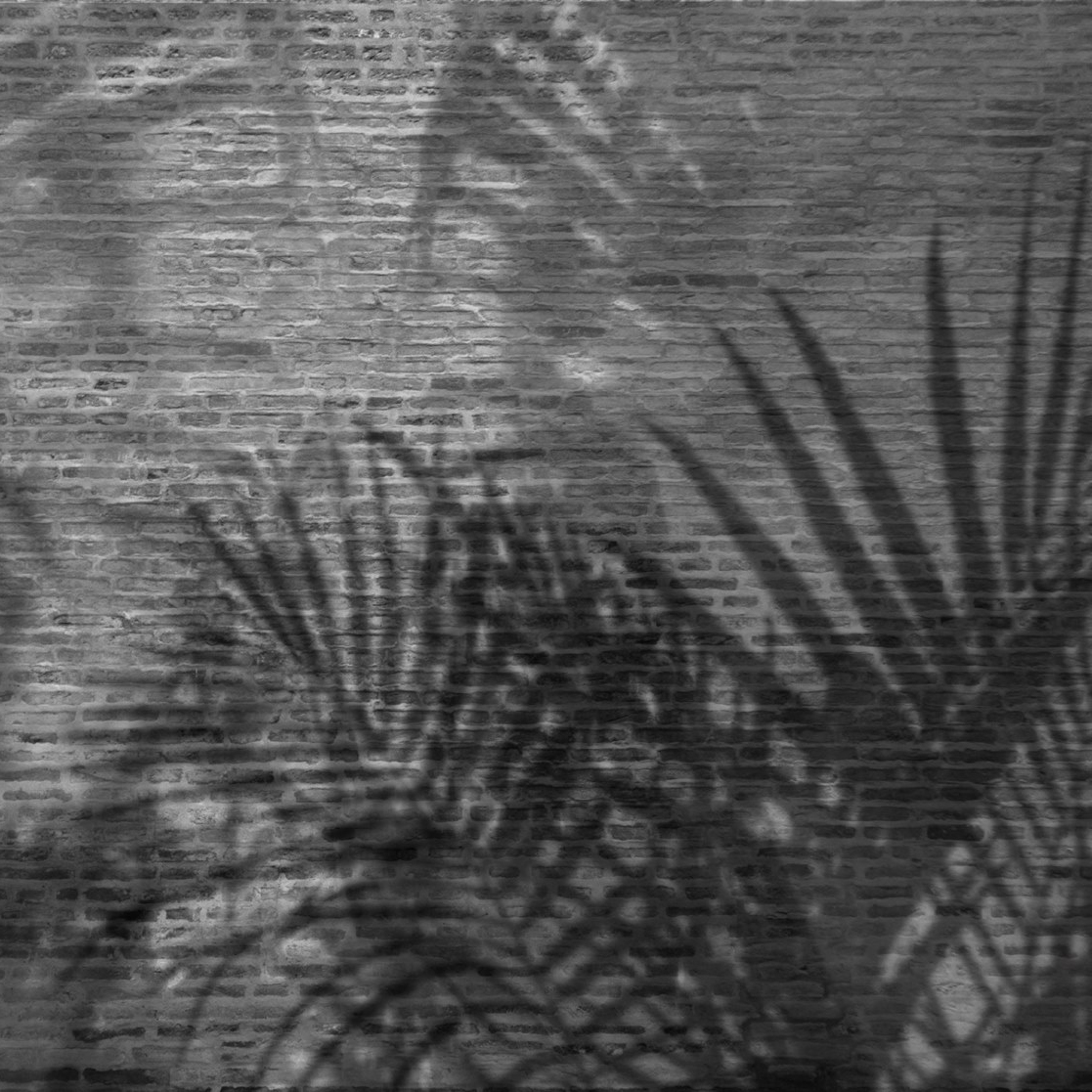 Mostrar el producto Materia | Palms del fabricante Officinarkitettura