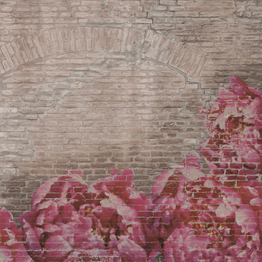 Mostrar el producto Materia | Peonies del fabricante Officinarkitettura