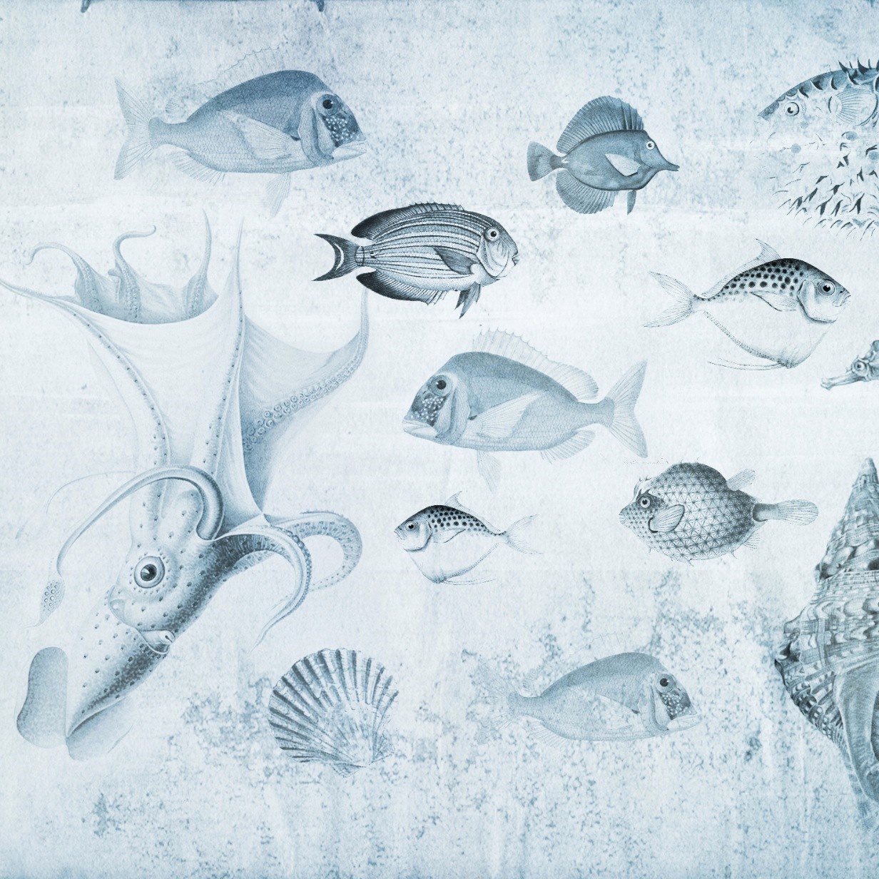 Mostra il prodotto Nature | Aquarium Blu del produttore Officinarkitettura