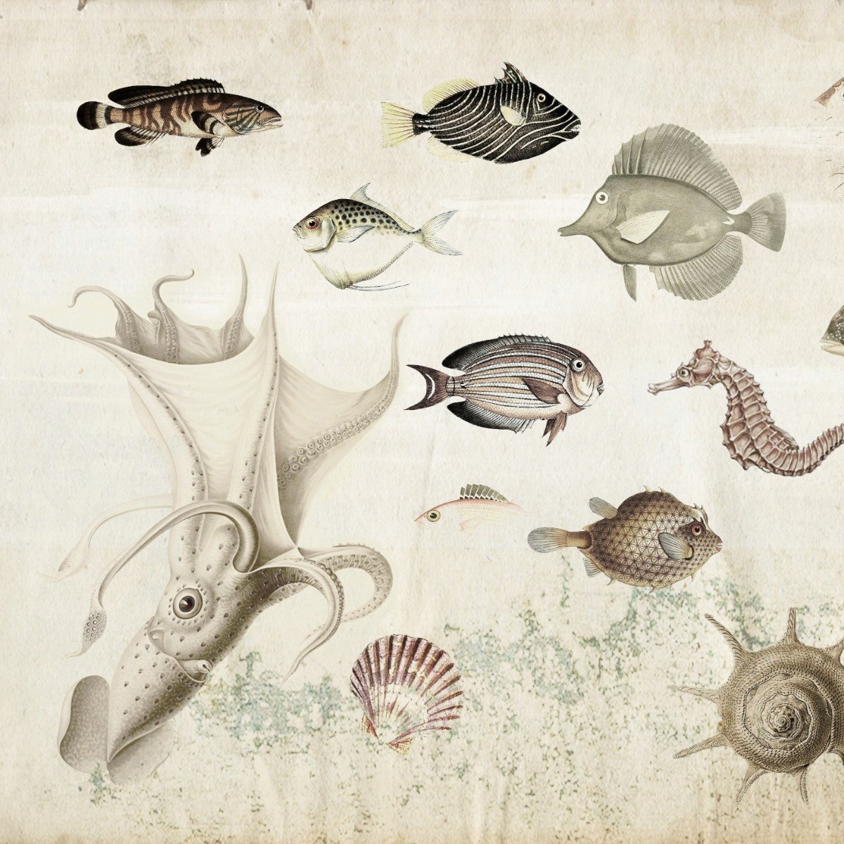 Mostrar el producto Nature | Aquarium del fabricante Officinarkitettura