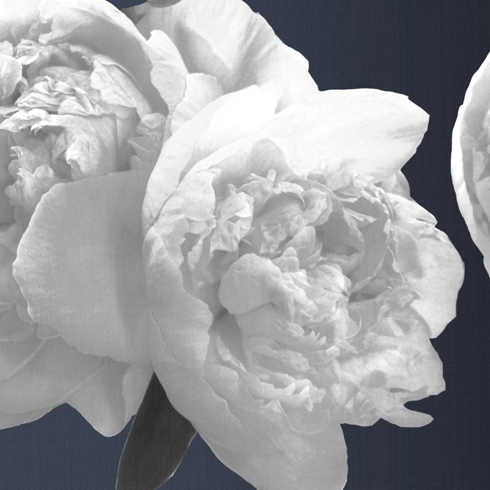 Mostrar el producto Nature | Instant God del fabricante Officinarkitettura