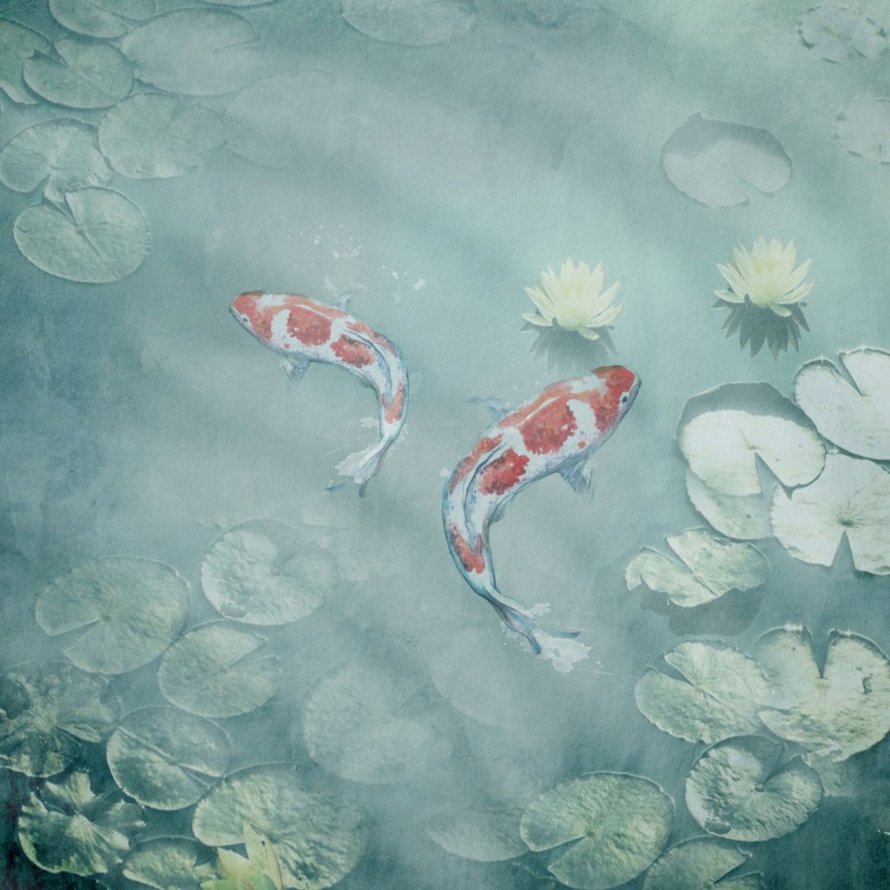 Mostra il prodotto Nature | Koi del produttore Officinarkitettura