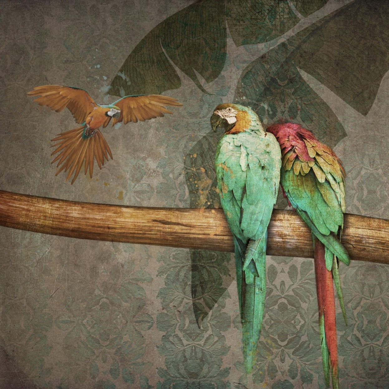 Mostra il prodotto Nature | Parrots del produttore Officinarkitettura