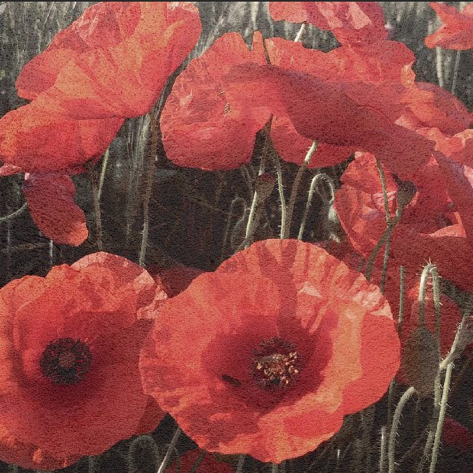 Mostrar el producto Nature | Poppies del fabricante Officinarkitettura