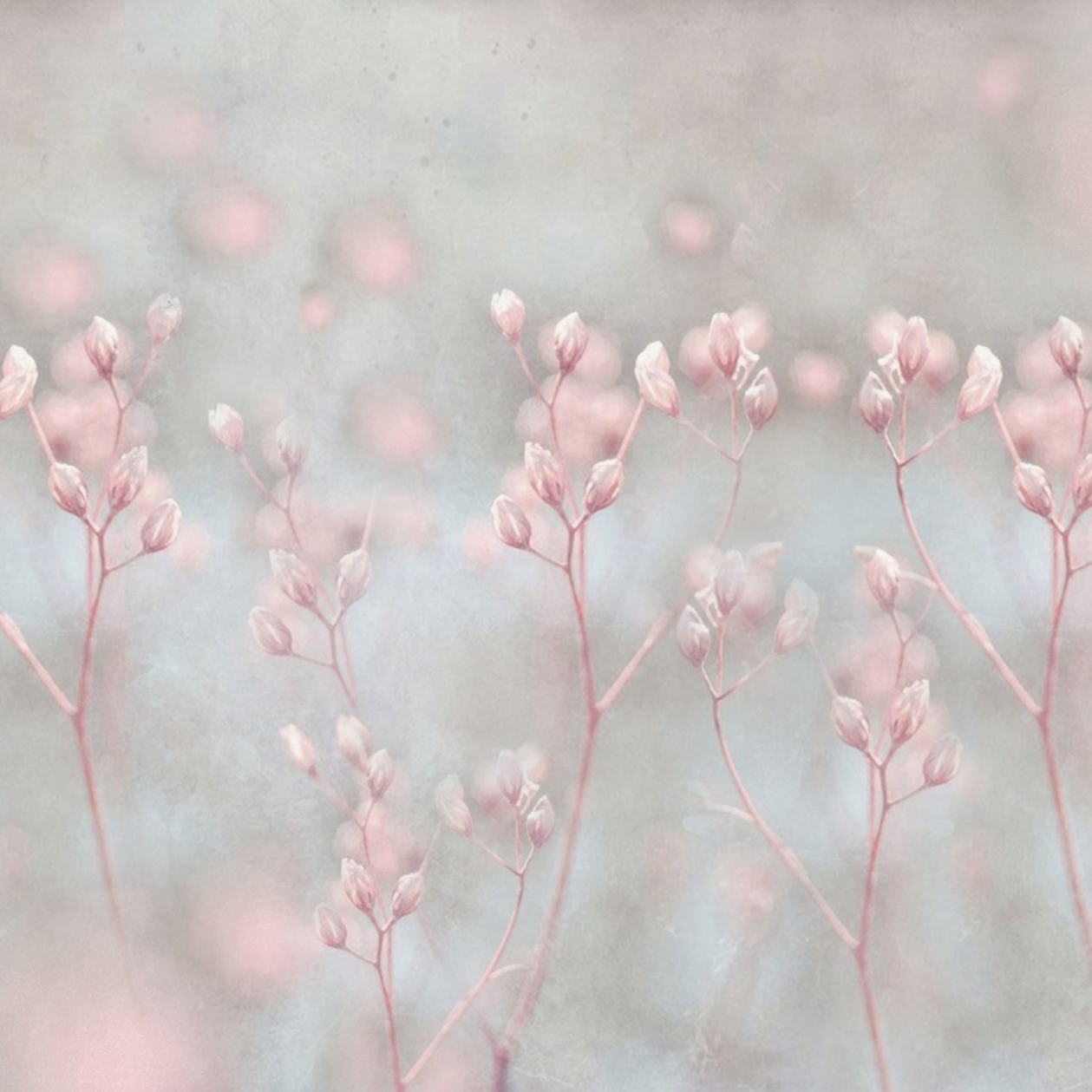 Mostrar el producto Nature | Silence del fabricante Officinarkitettura
