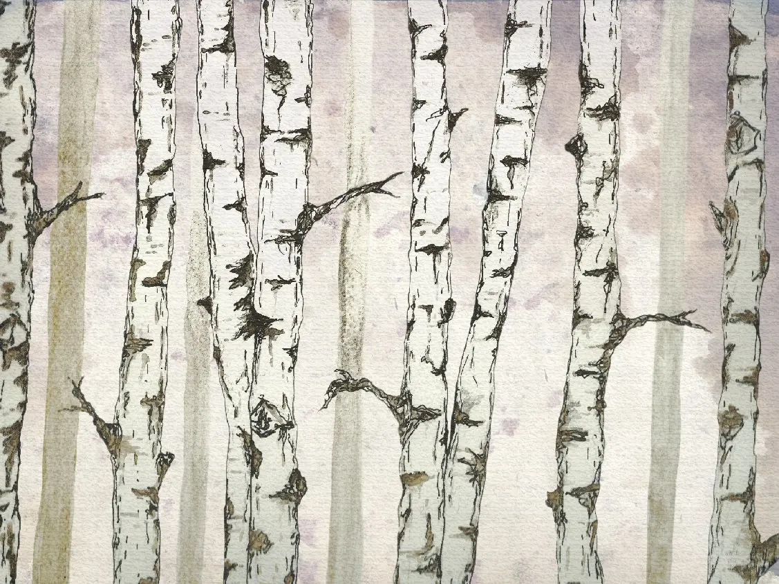 Officinarkitettura - Nature | Trees