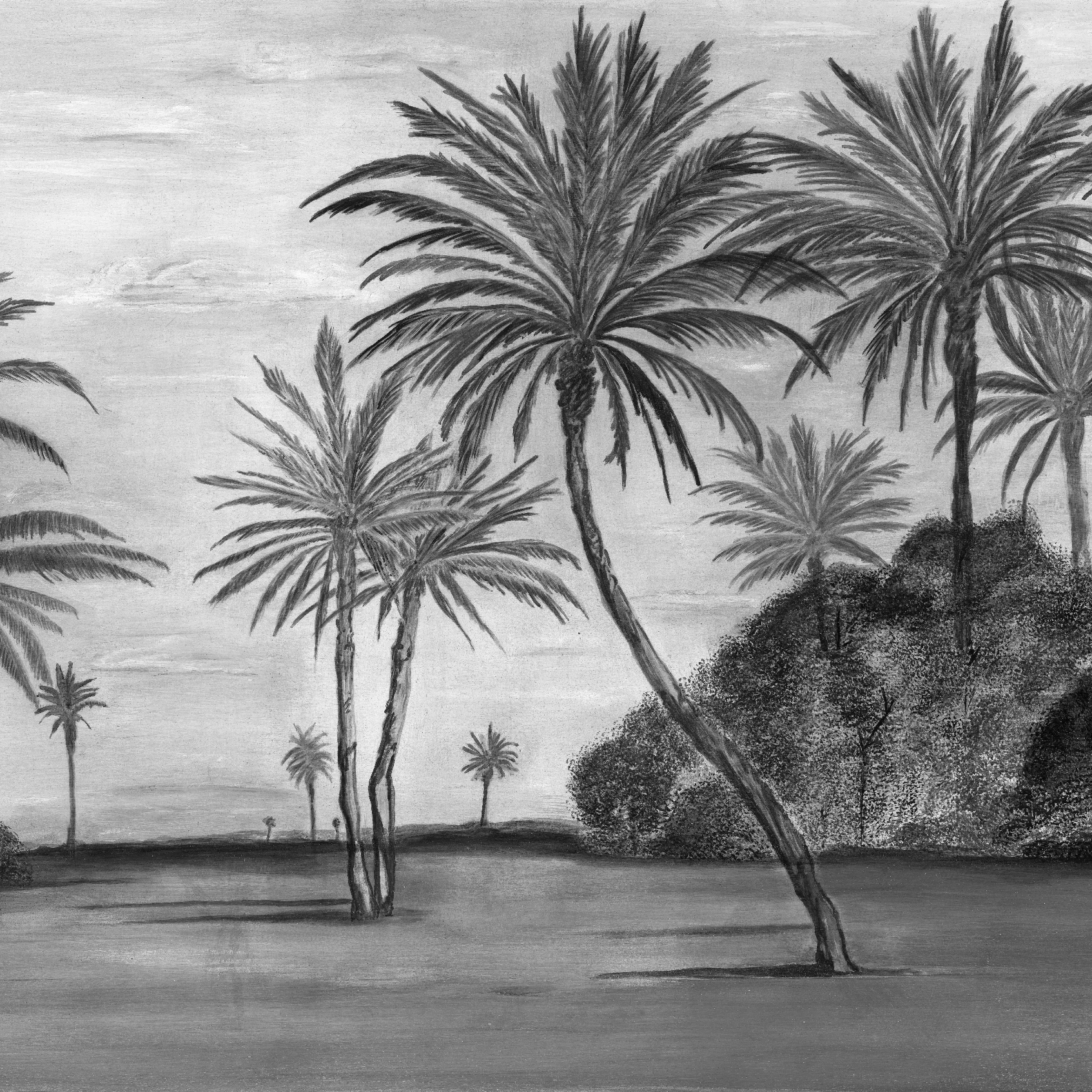 Mostra il prodotto Panorama | Desert B&W del produttore Officinarkitettura