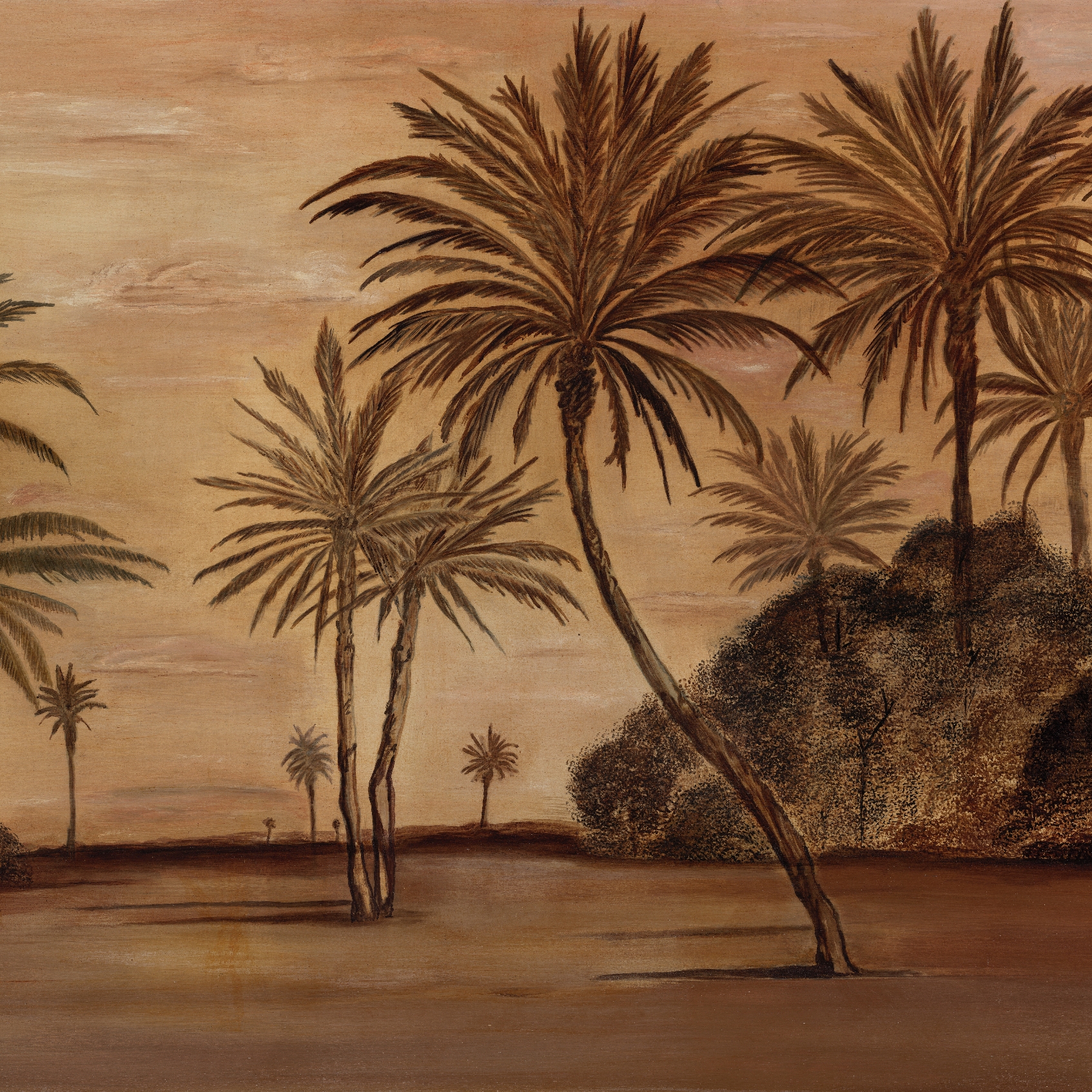 Panorama | Desert Orange