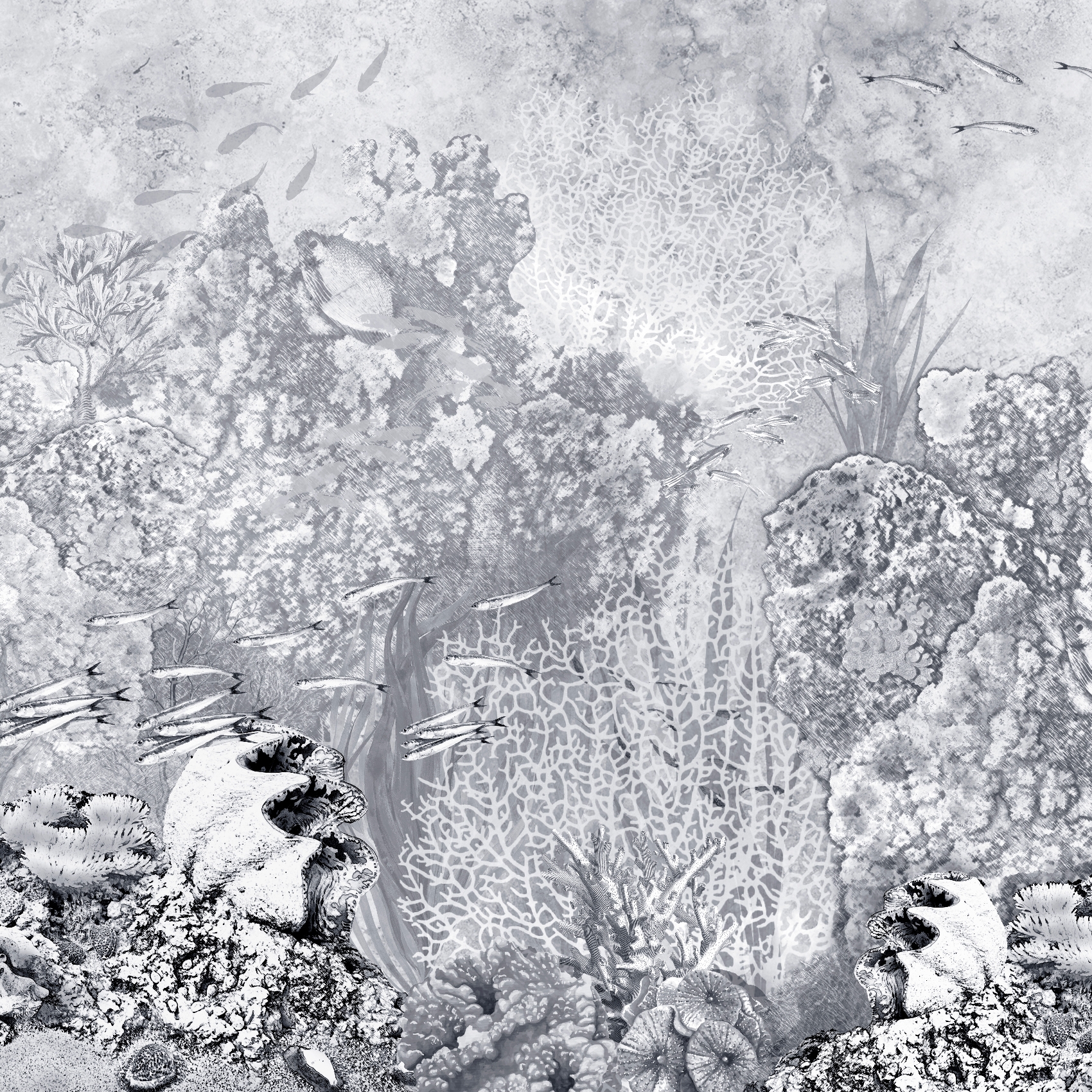 Mostra il prodotto Panorama | Behind Reef B&W del produttore Officinarkitettura