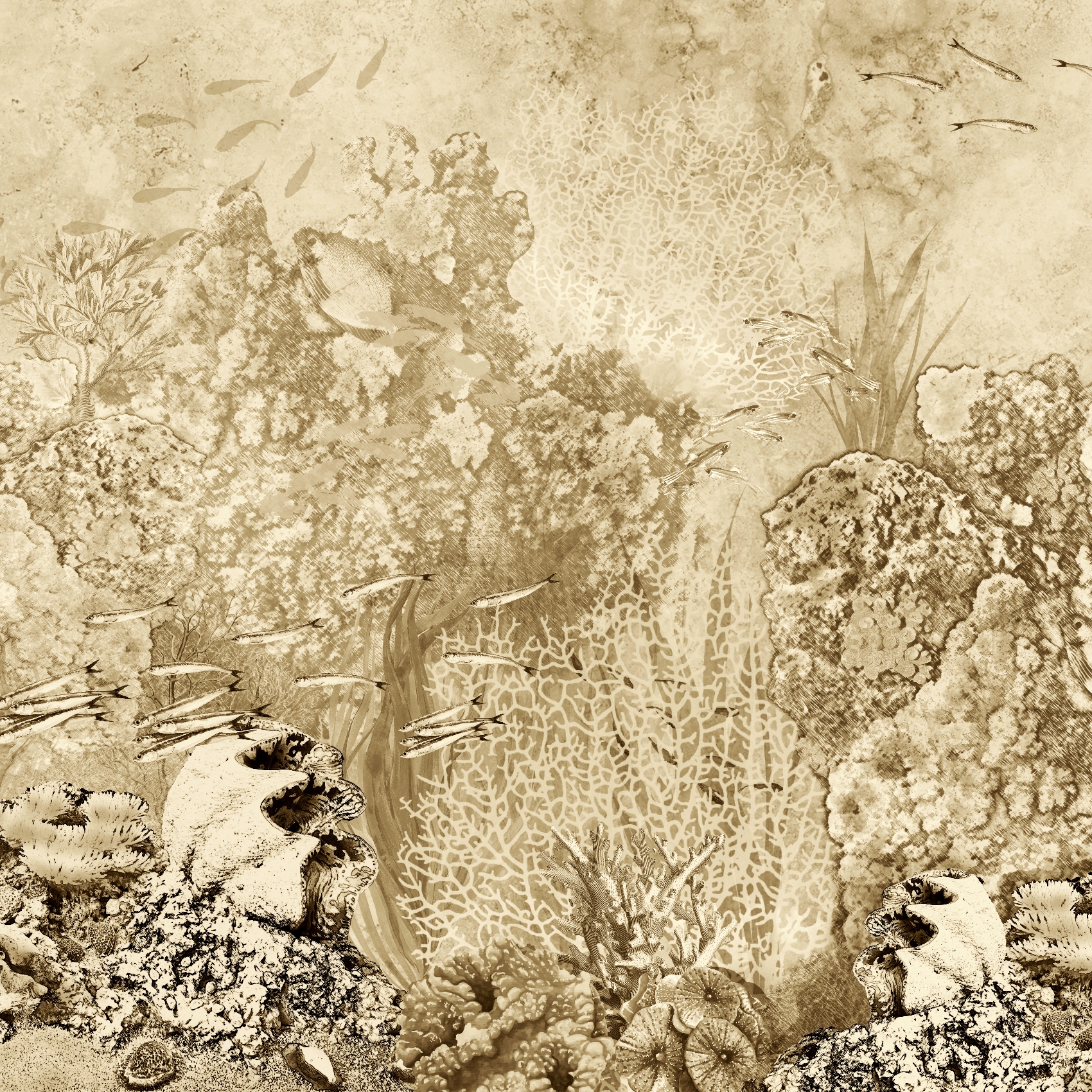 Panorama | Behind Reef Yellow