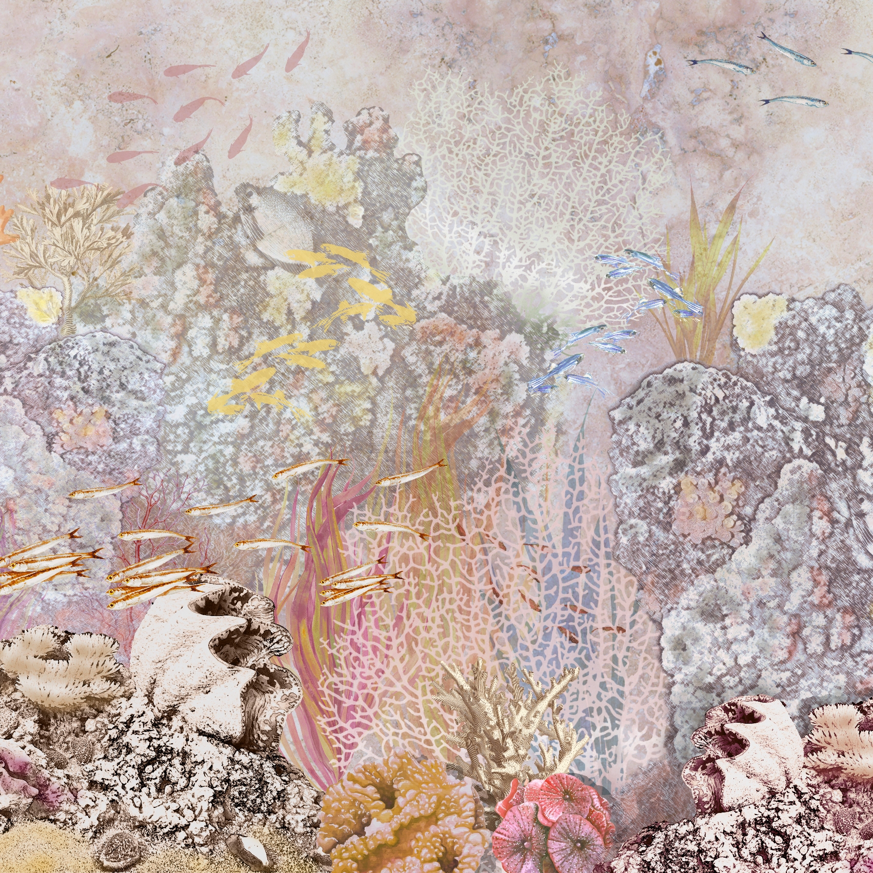 Panorama | Behind Reef Peach