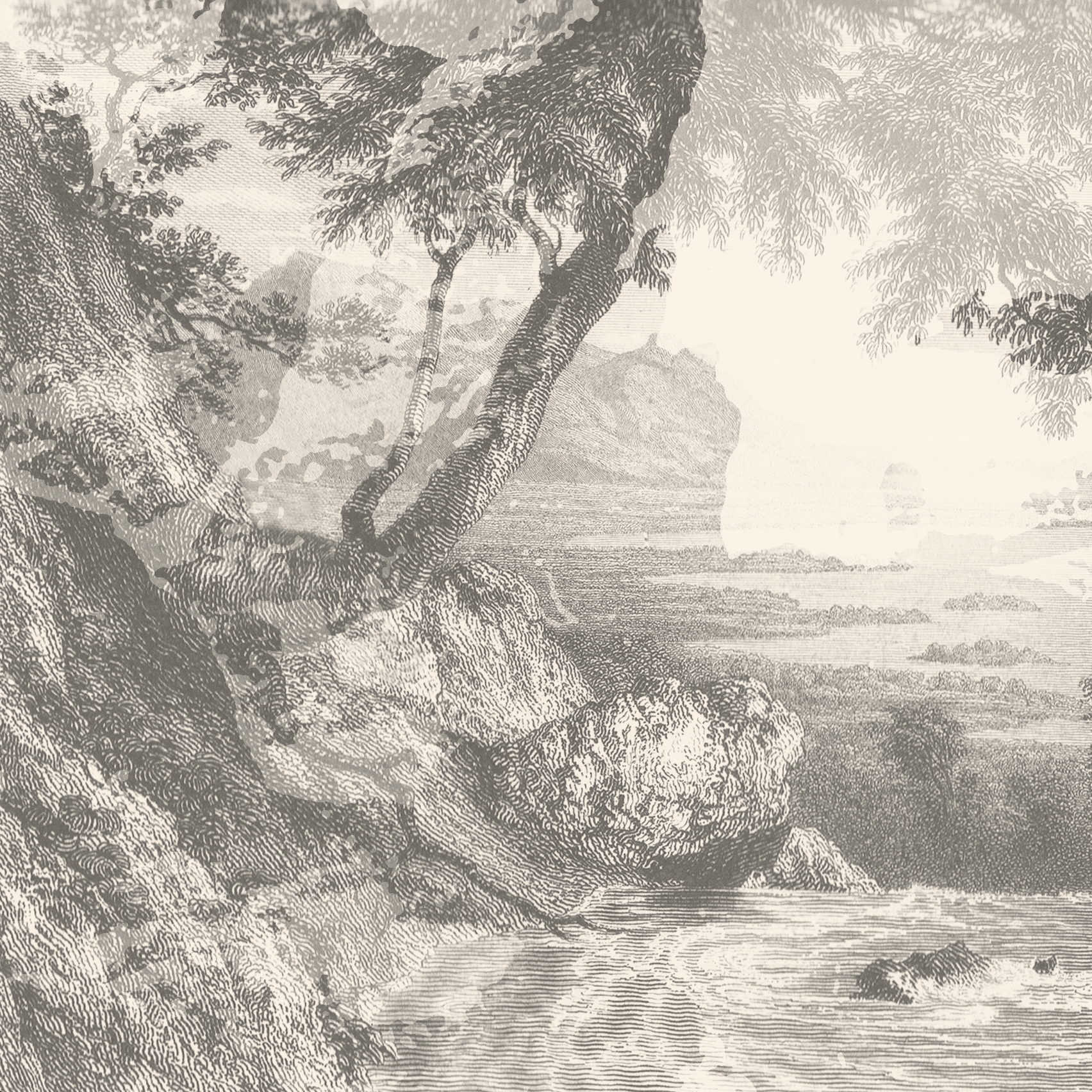 Panorama | River Gray